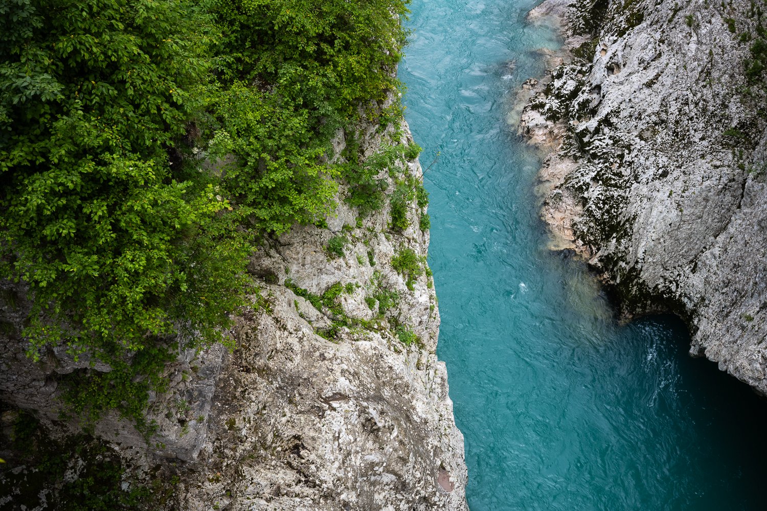 _DSC9146.jpg