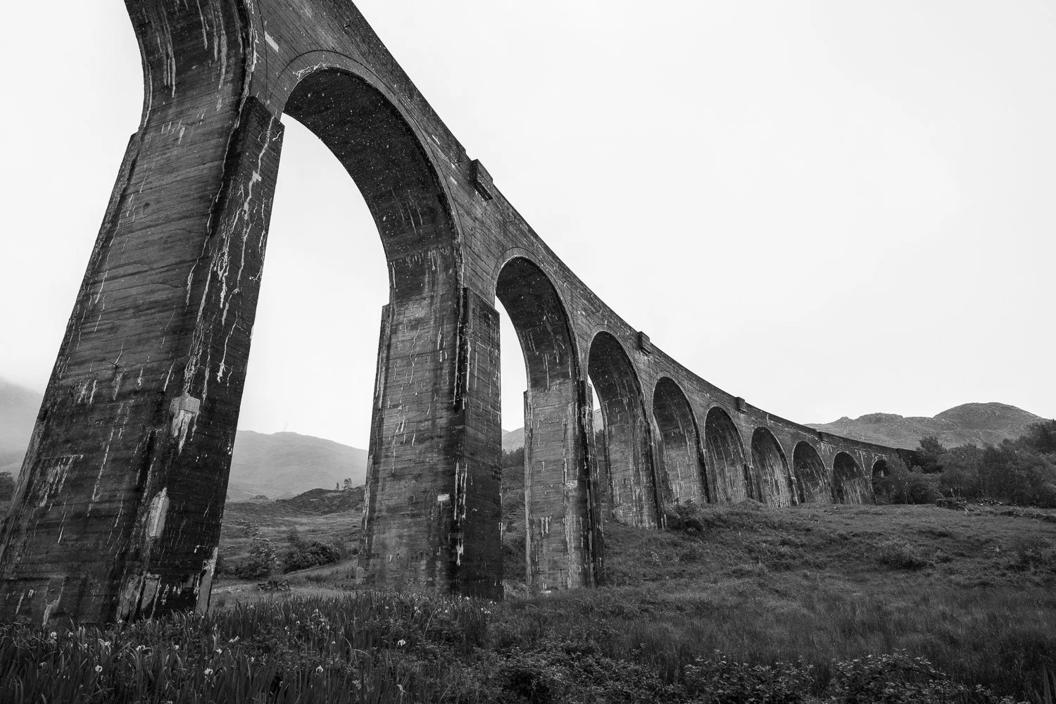 _DSC9885.jpg