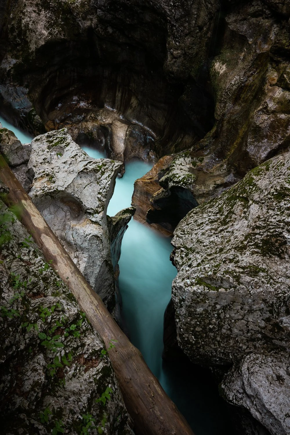 _DSC1023.jpg