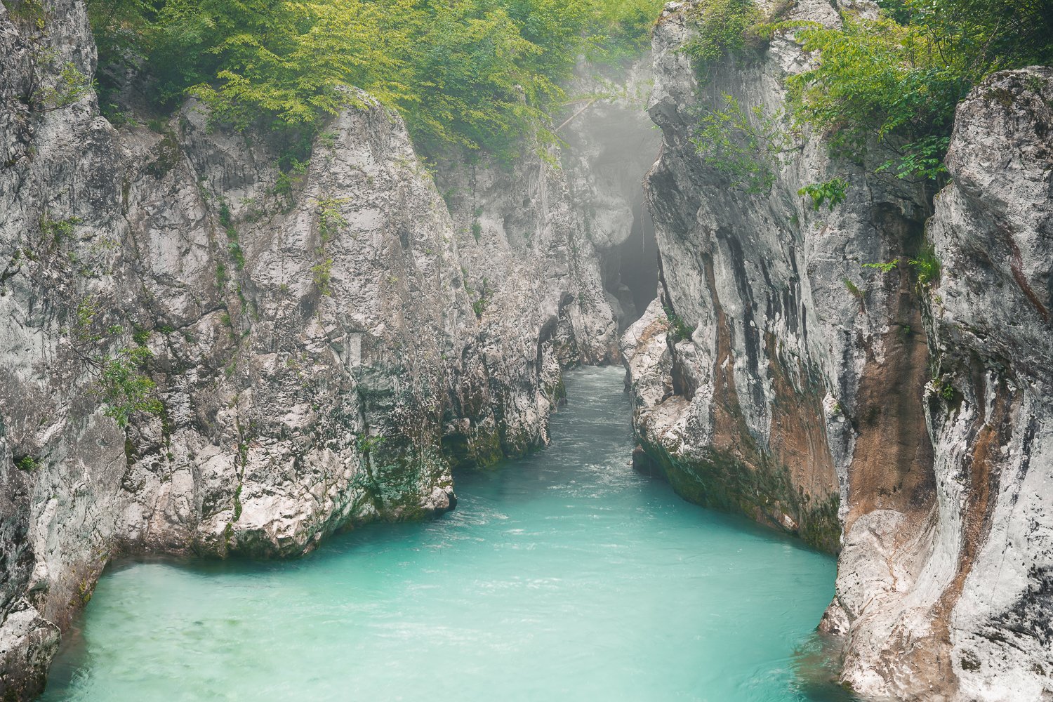 _DSC9687.jpg