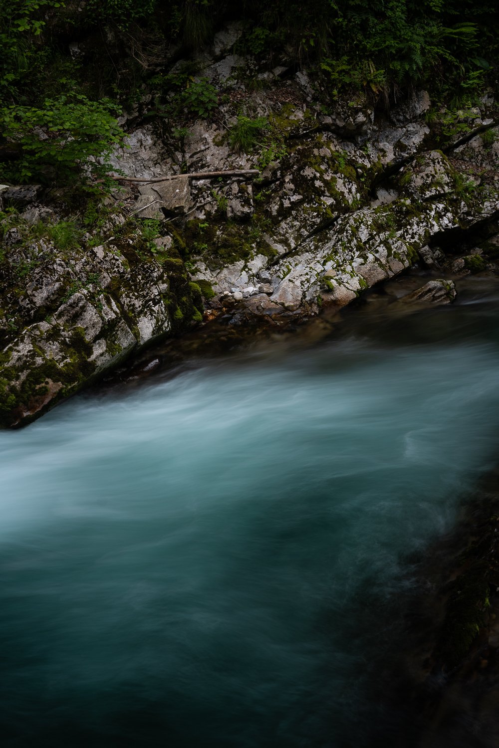 _DSC2129.jpg