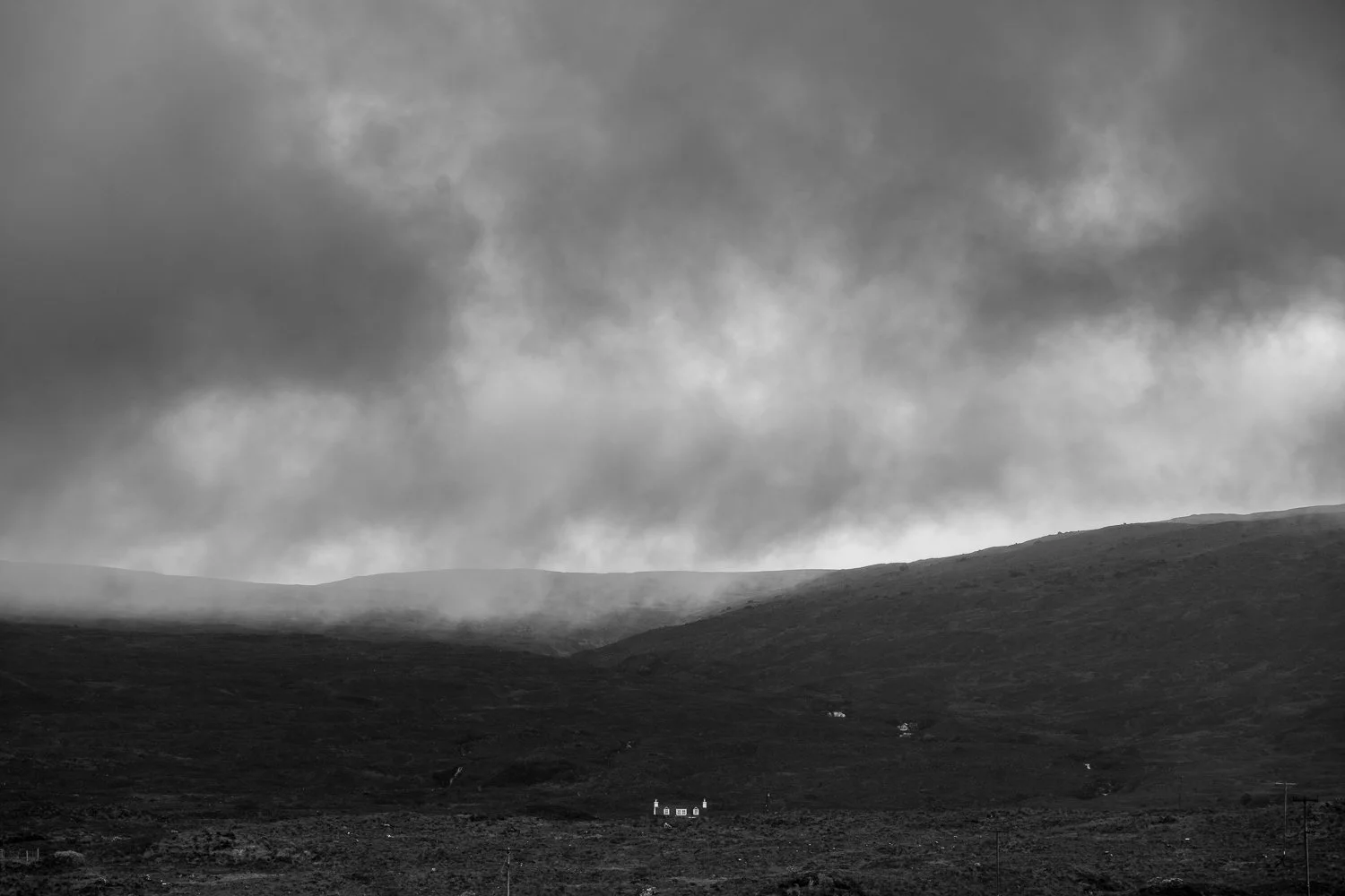 _DSC7519.jpg