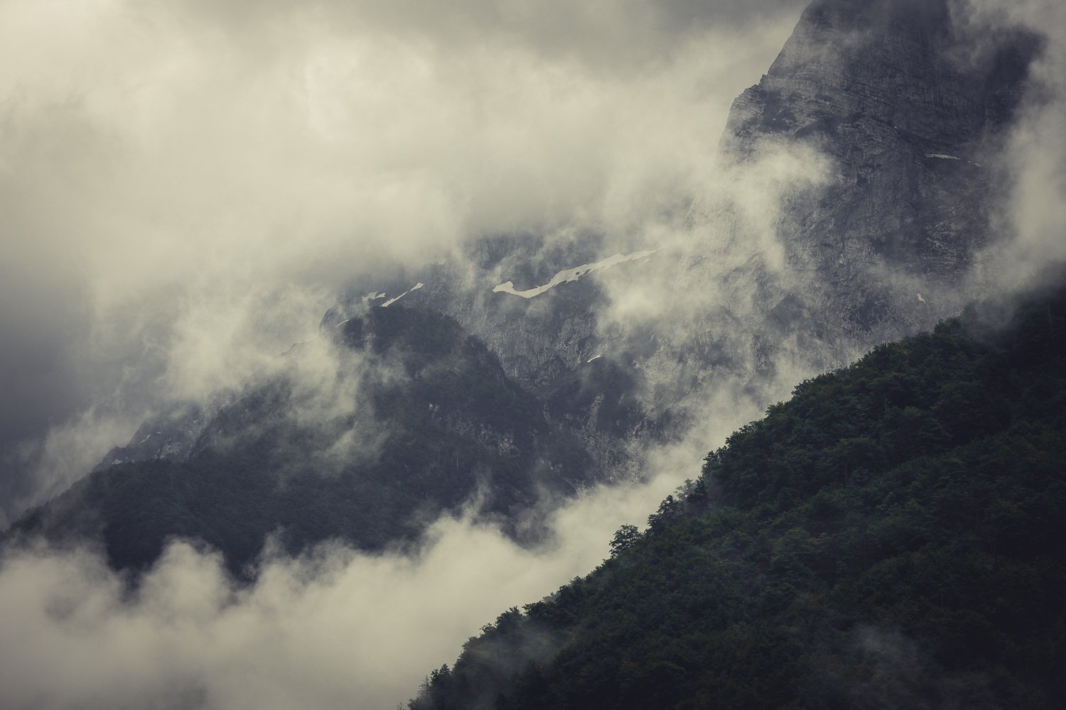 _DSC9395.jpg