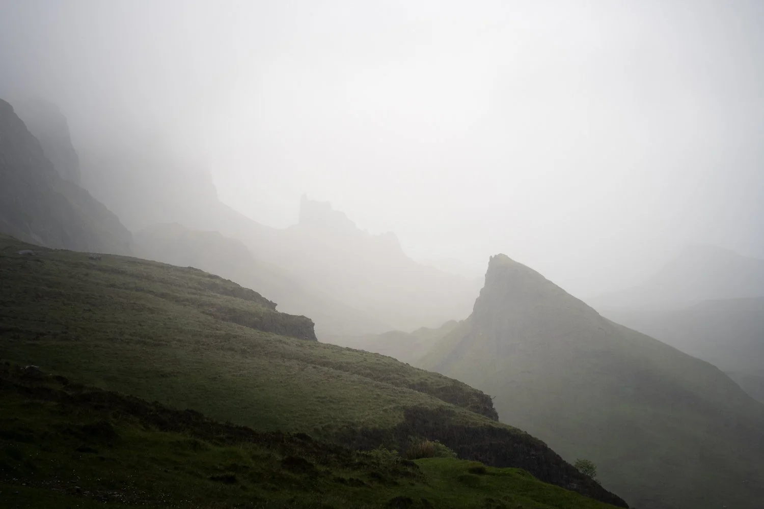 _DSC6873.jpg