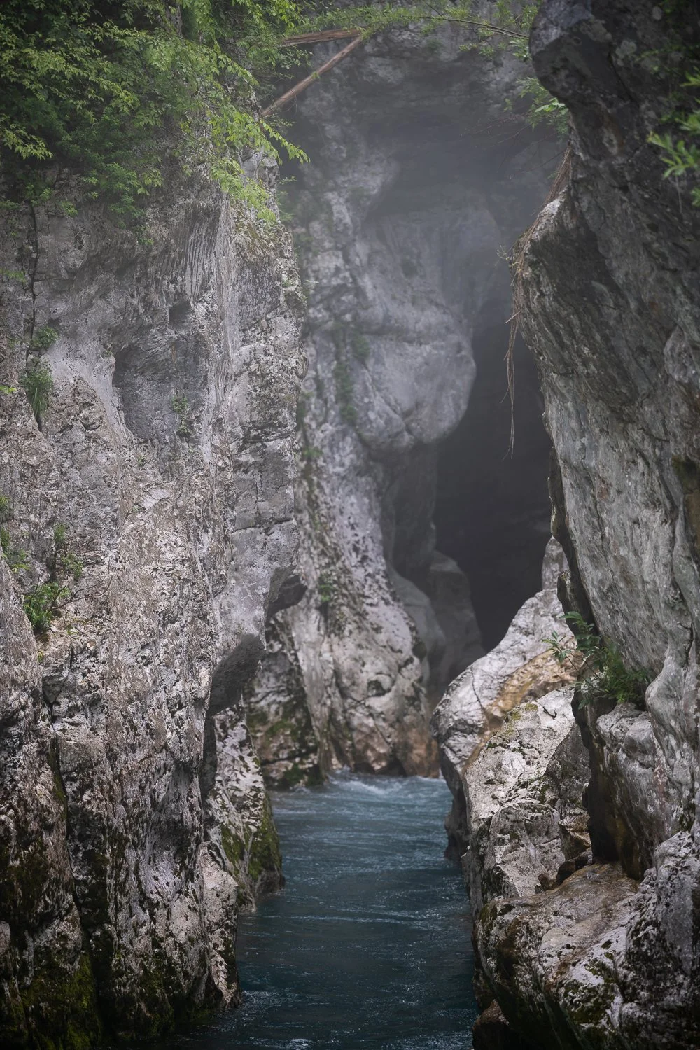 _DSC9696.jpg