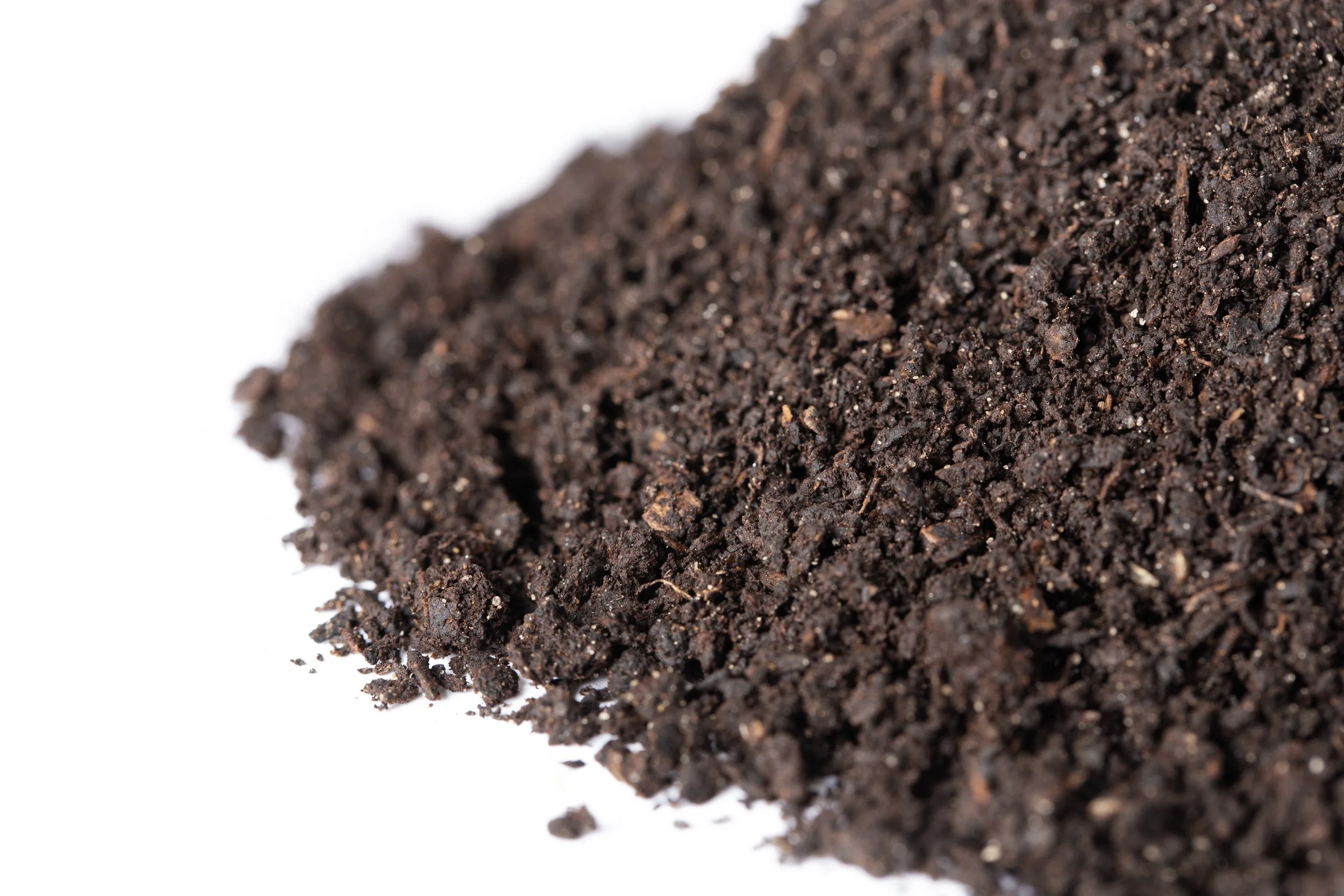 Soil Close-up - DRNC.jpg