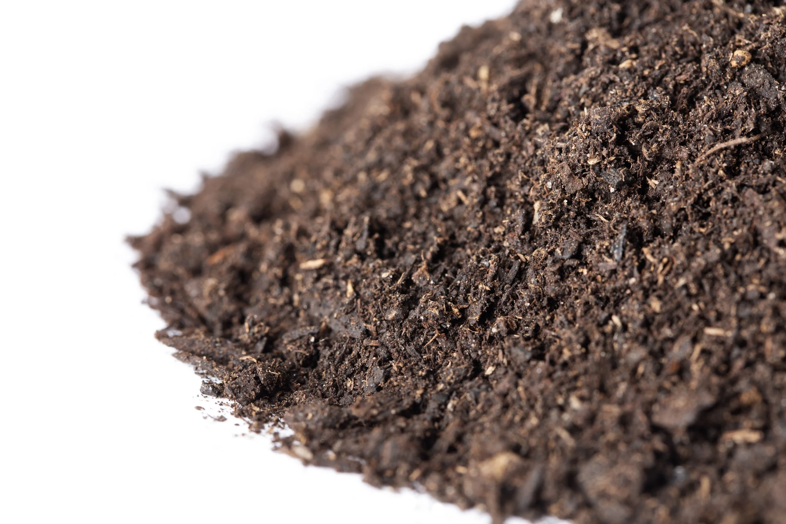 Soil Close-up - DRSR.jpg