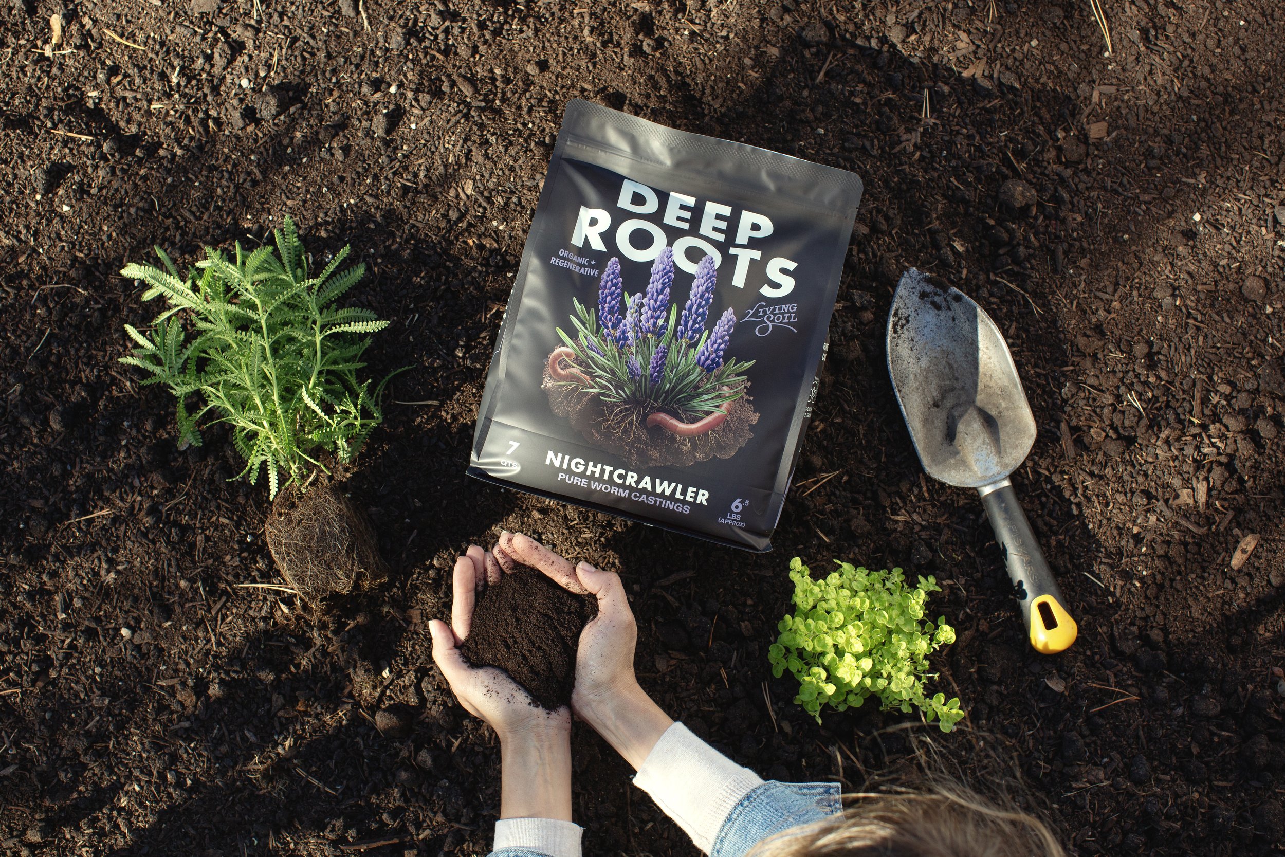 Deep Roots Lifestyle020.jpg