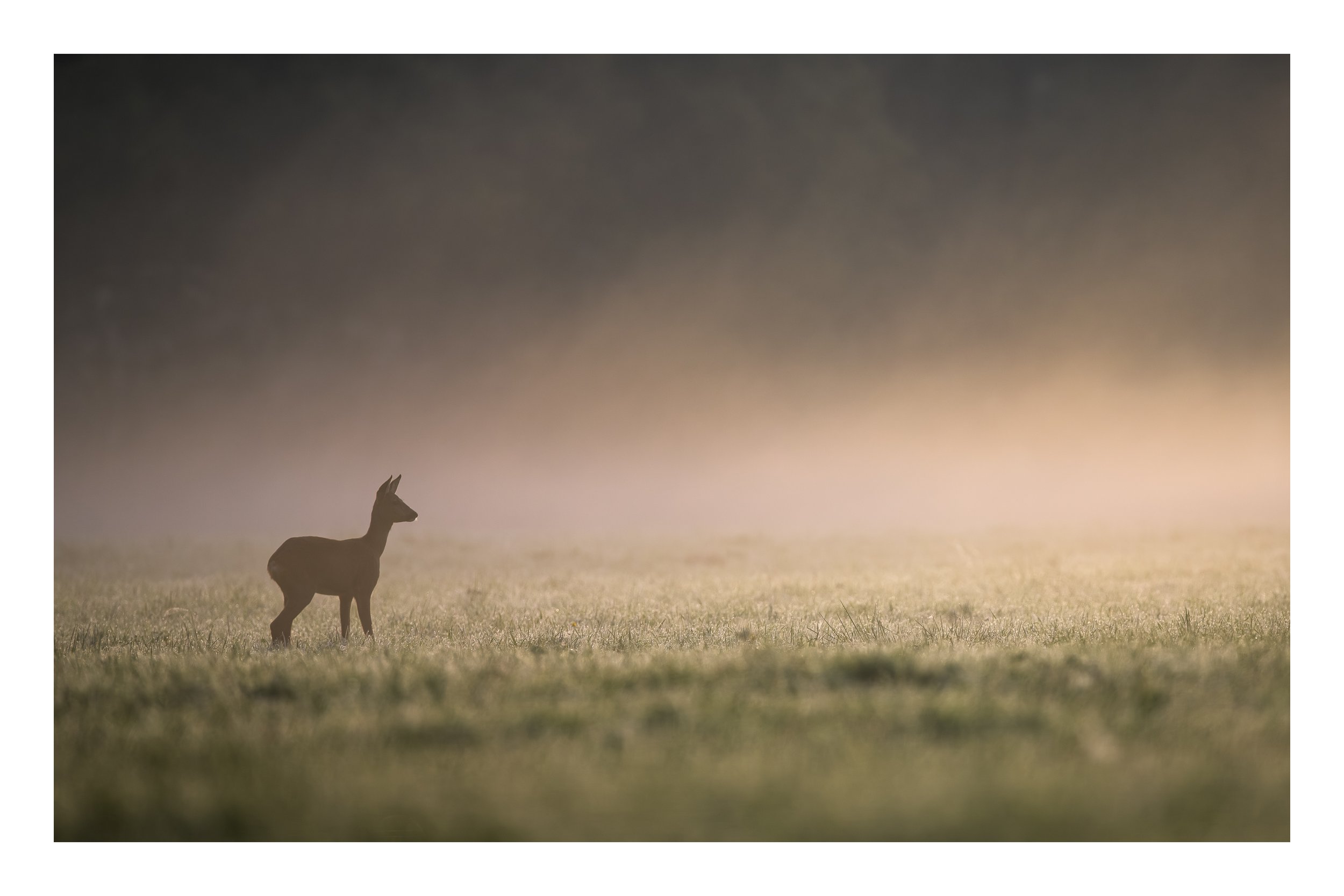 BenjaminSaussaye__DSC2306 (2).jpg