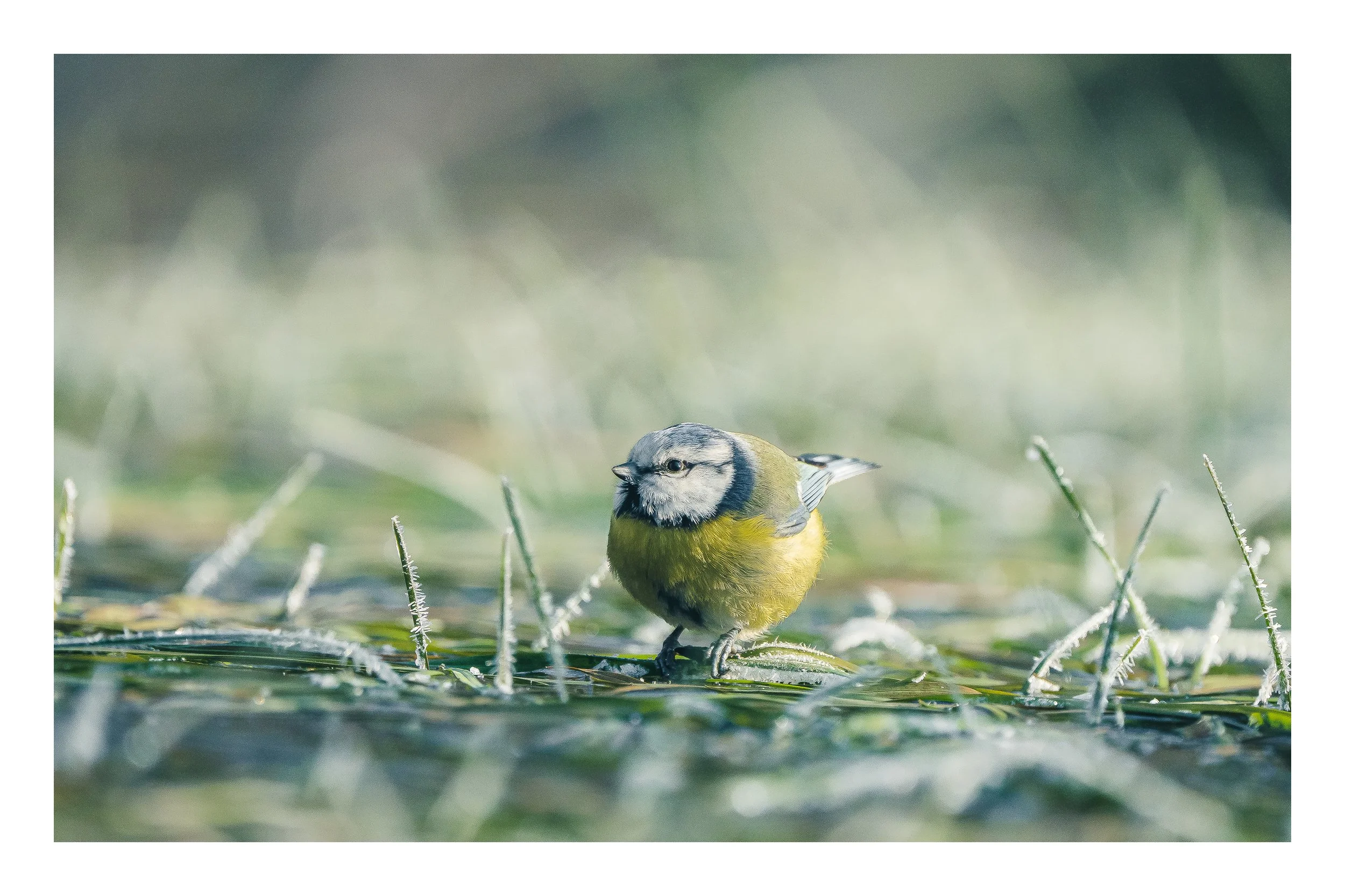 BenjaminSaussaye__A7R3916_6240 x 4160.jpg