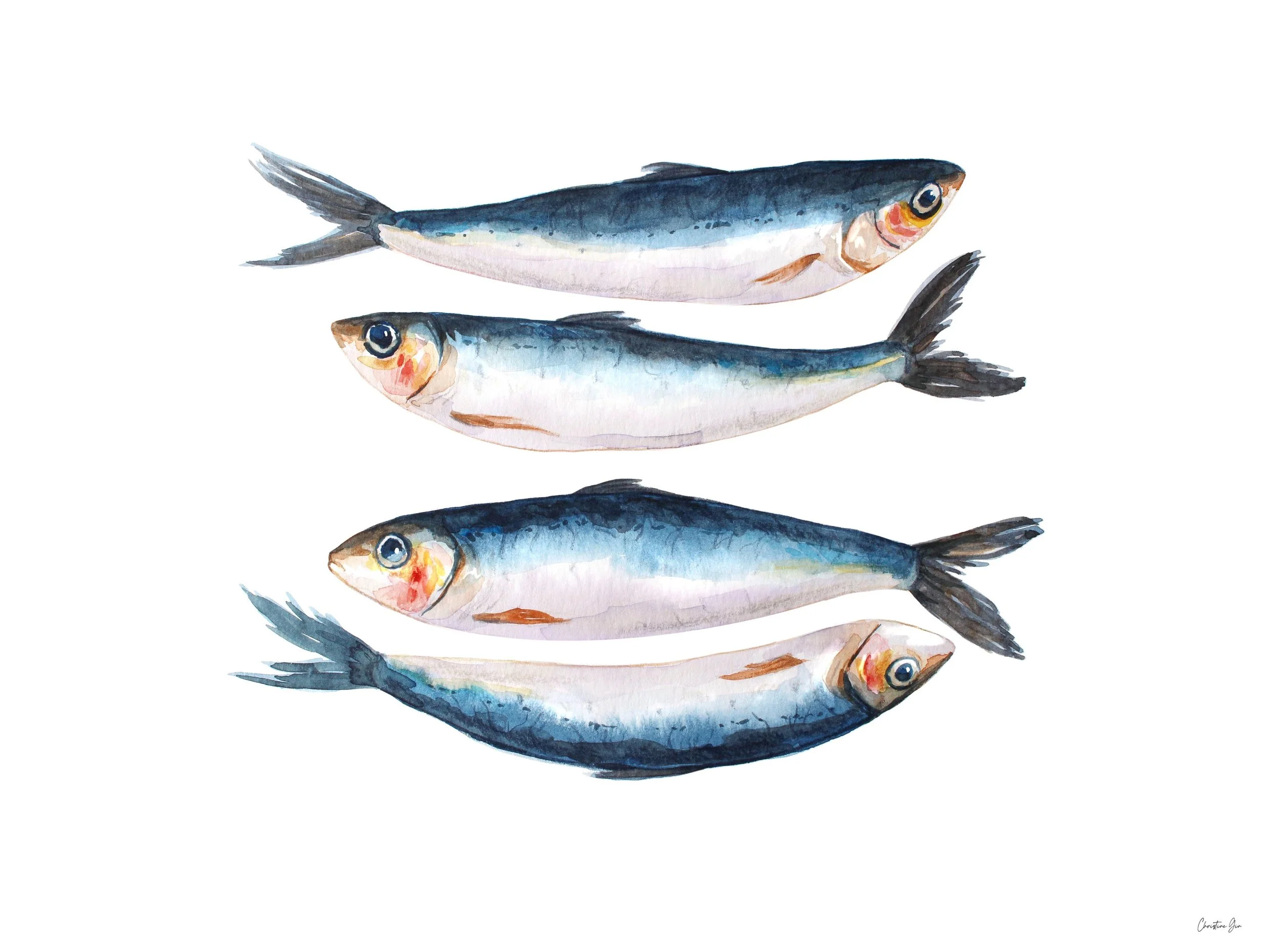 Sardine with signature.jpg