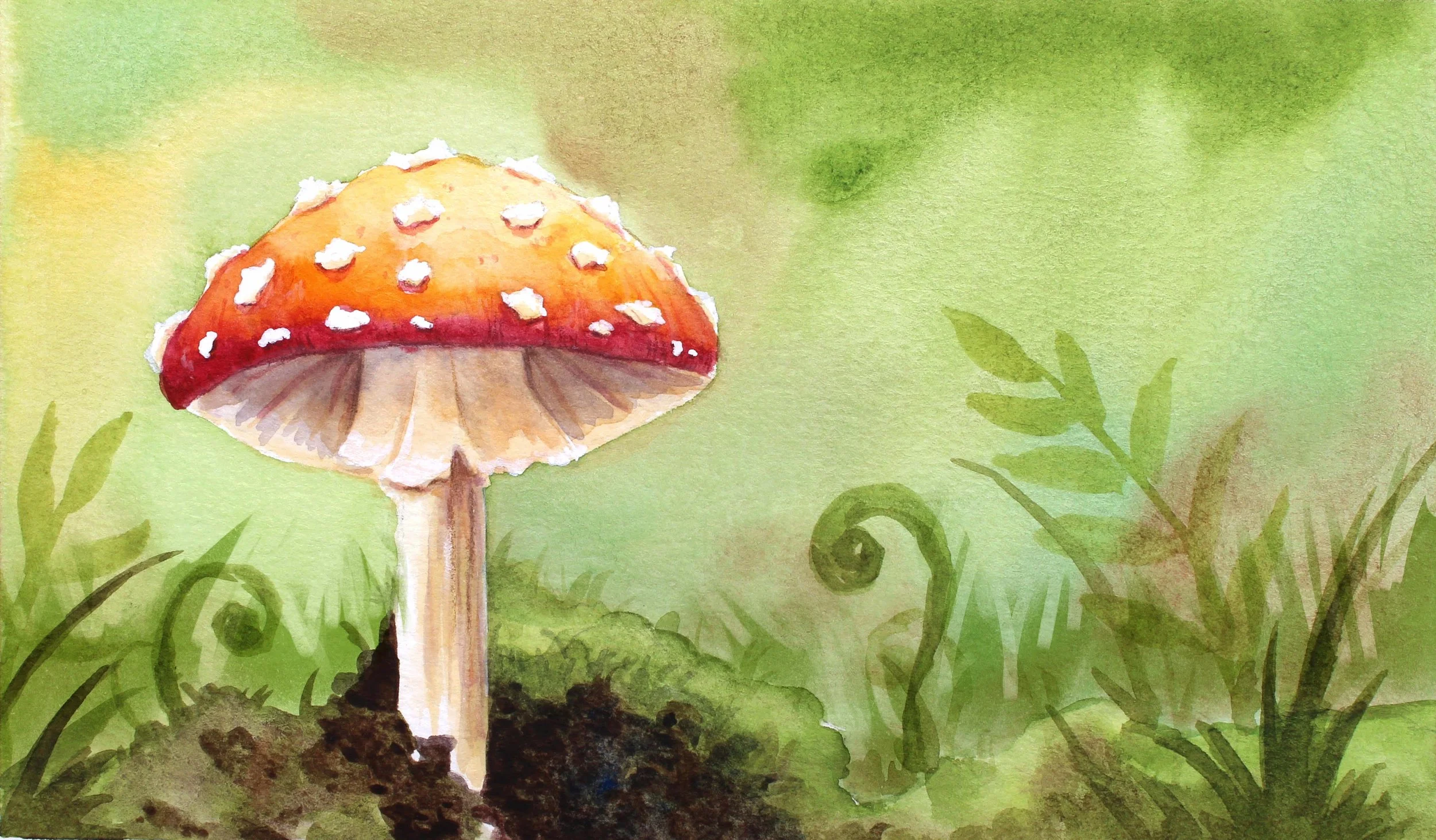Red Mushrooms.jpg
