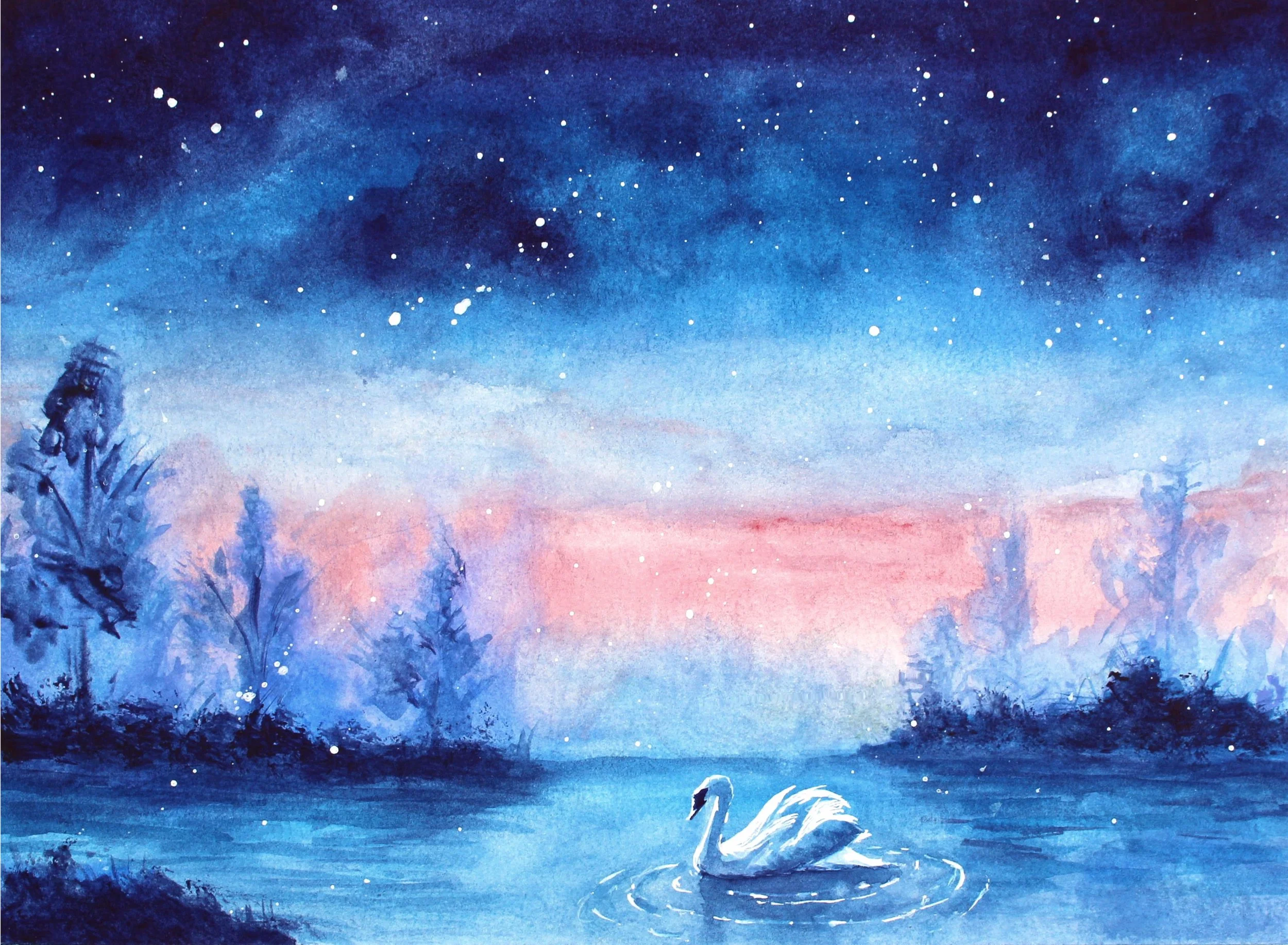 Swan.jpg