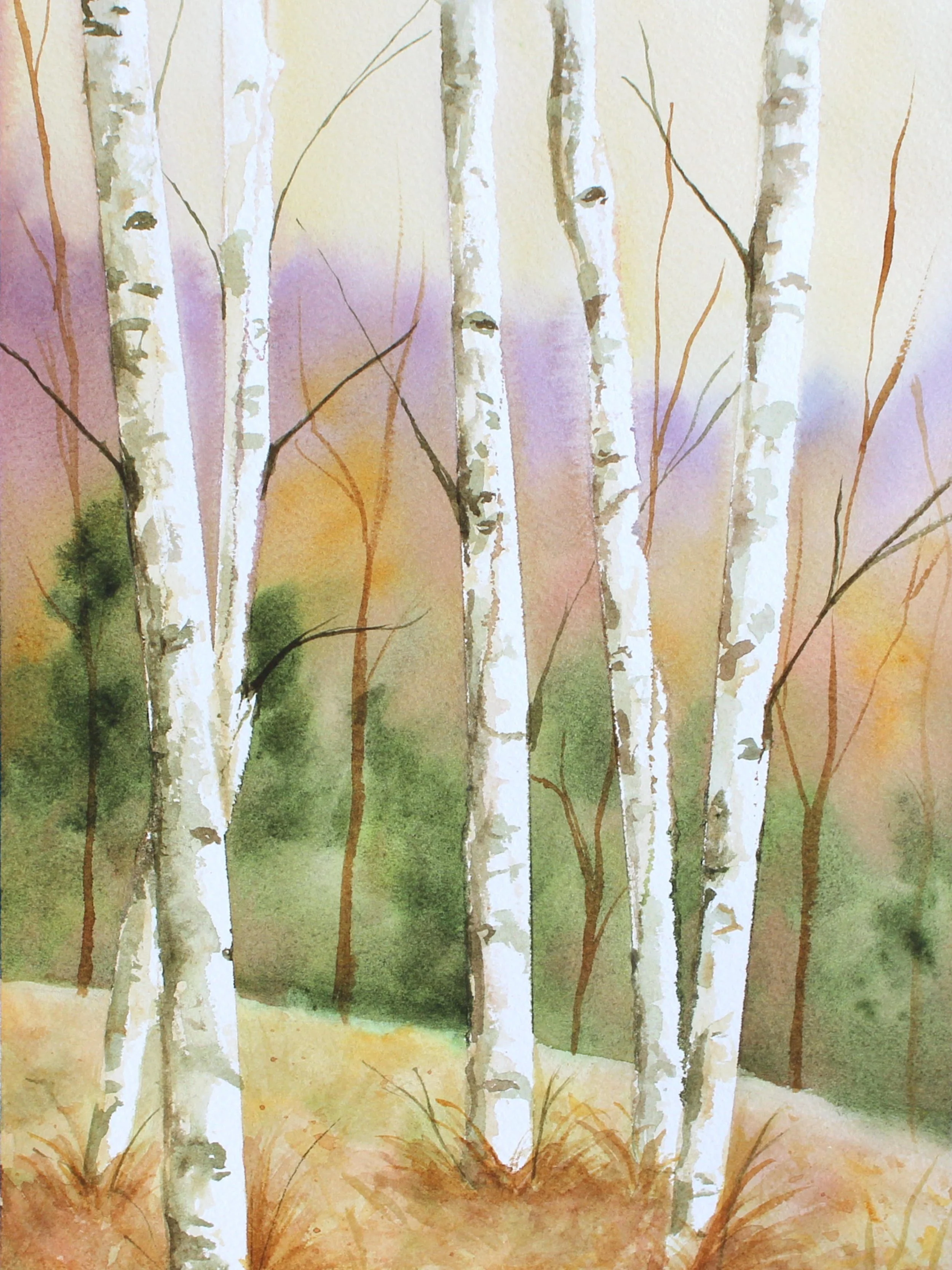 Birch Trees.jpg
