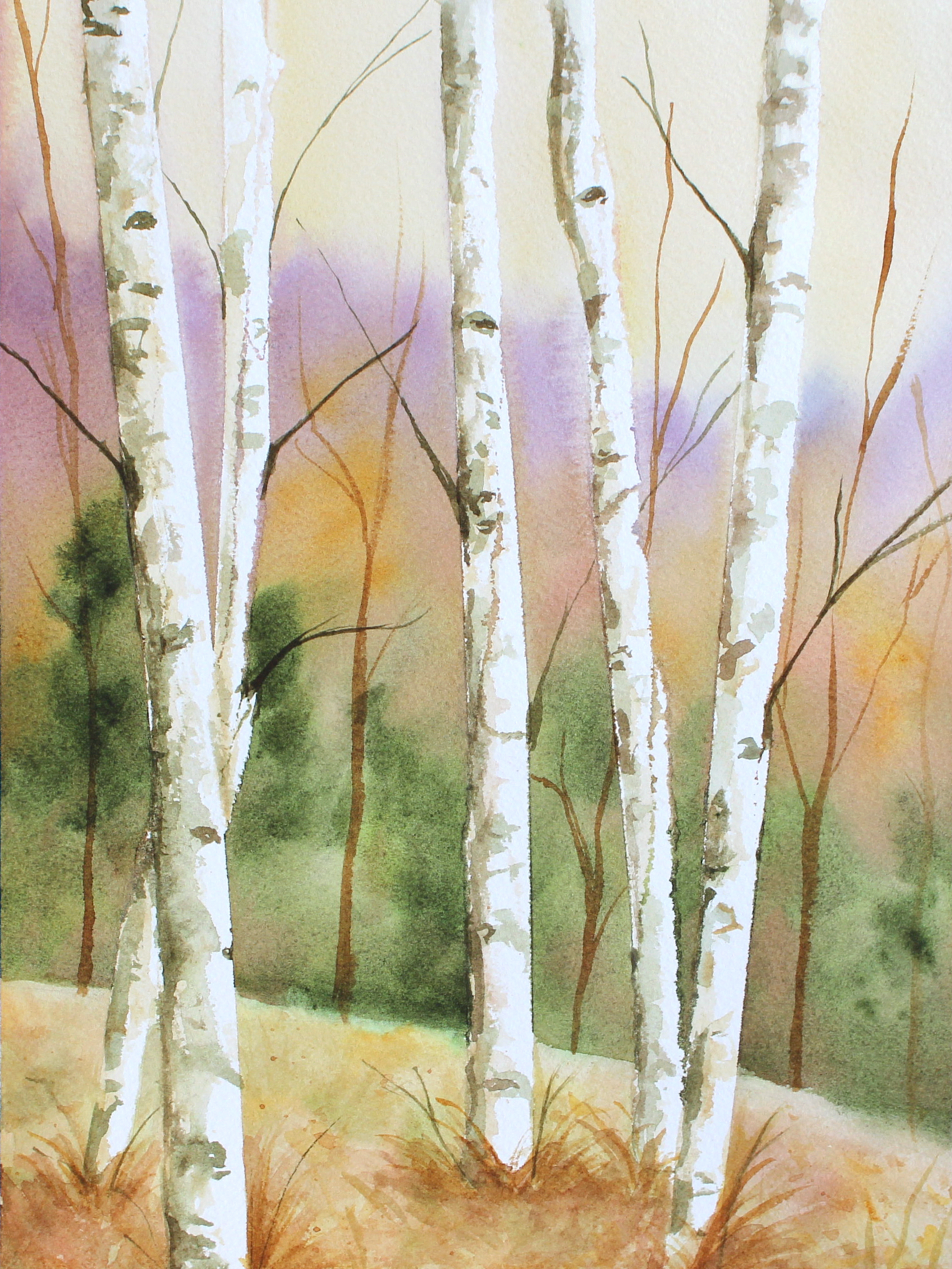 Birch Trees.png