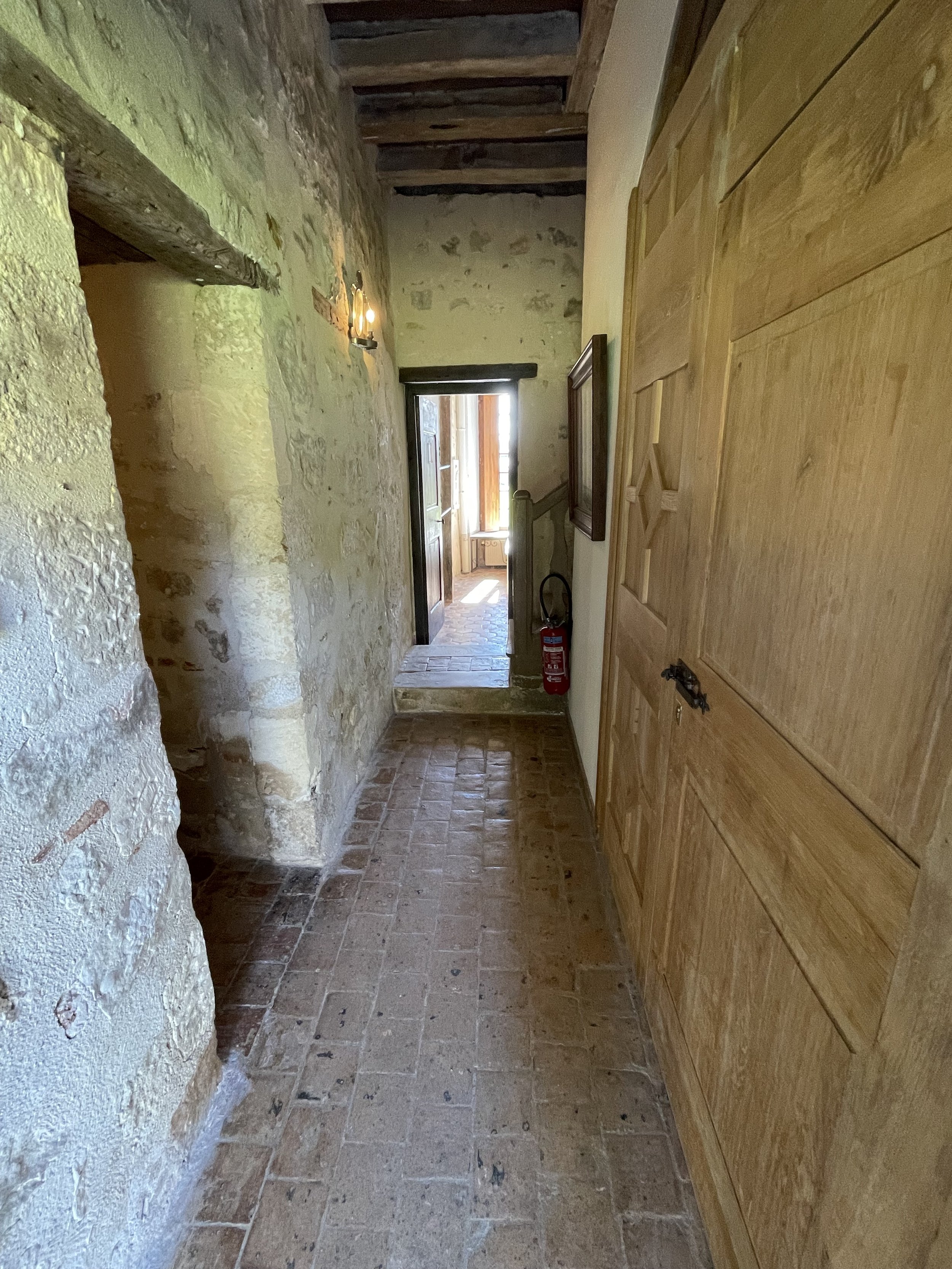 IMG_3174.jpeg