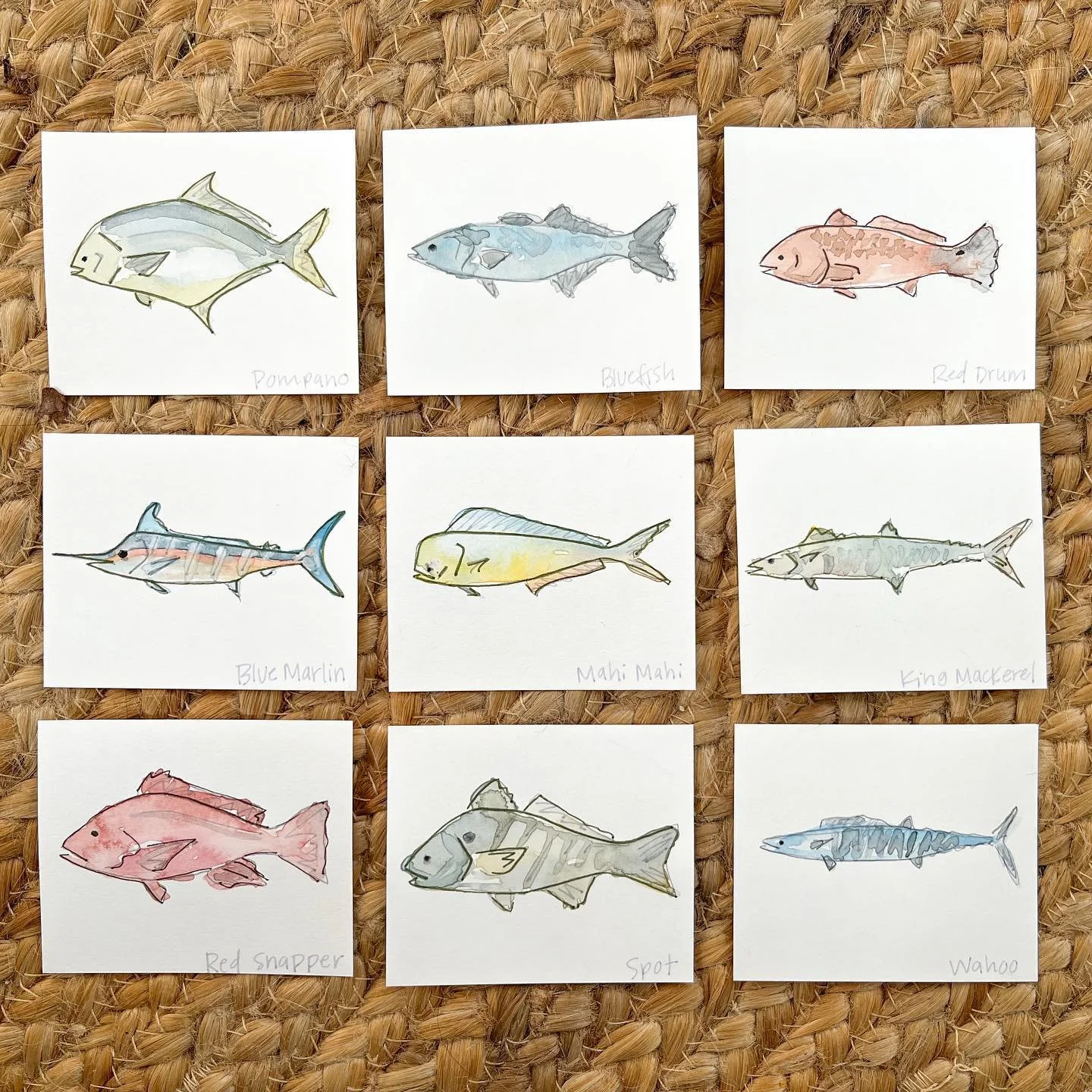 nine custom saltwater fish making their way to Wilmington this weekend 🤘🏽 swipe for one of many perfect ways to display these ~ this custom project took less than 1 week from request to usps, so there is still time to get your orders in before the 