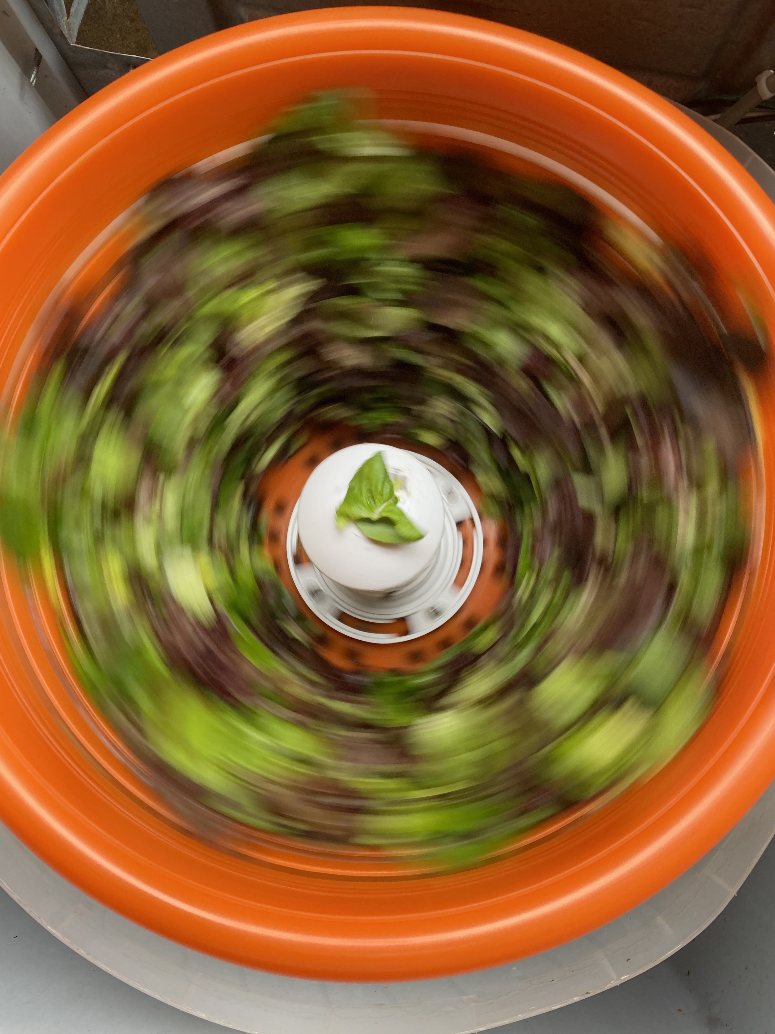 salad-spinner.jpg