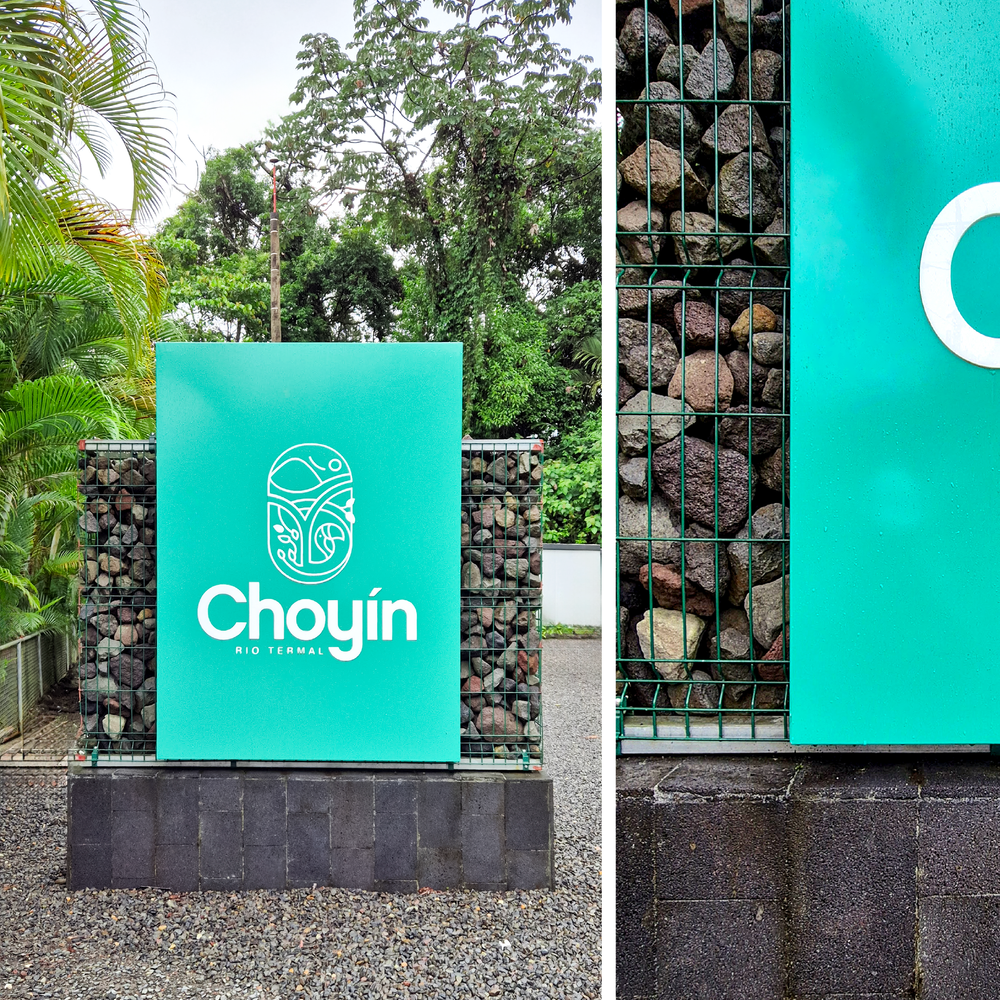 Choyin+feed-03.webp