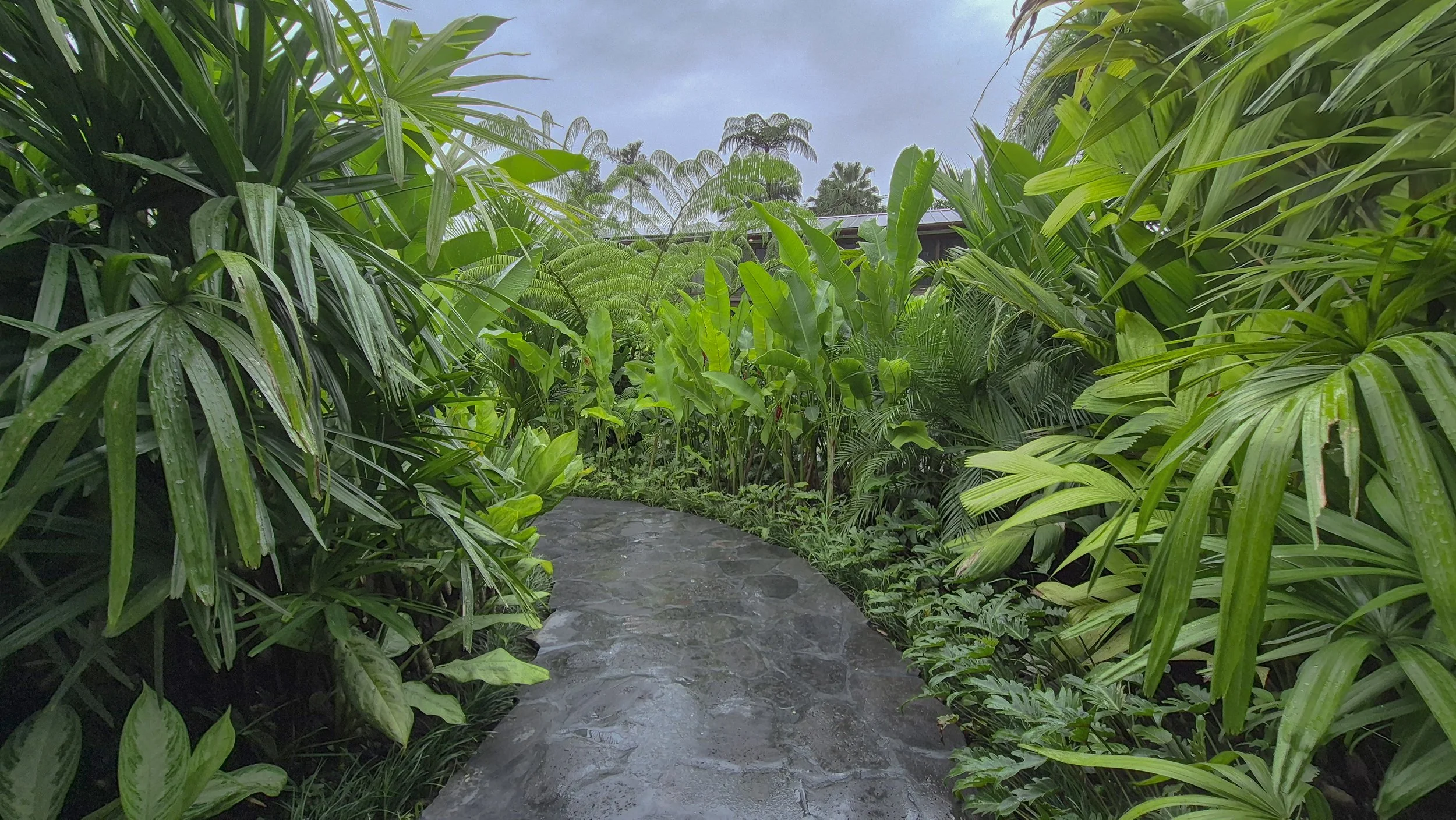IMG4.jpg