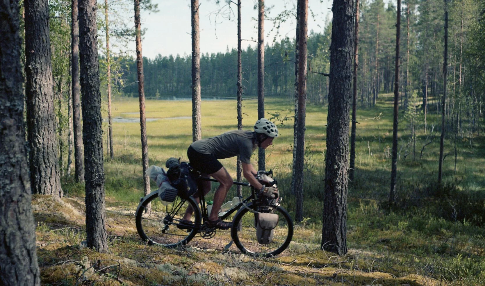 kesaloma25033.jpg