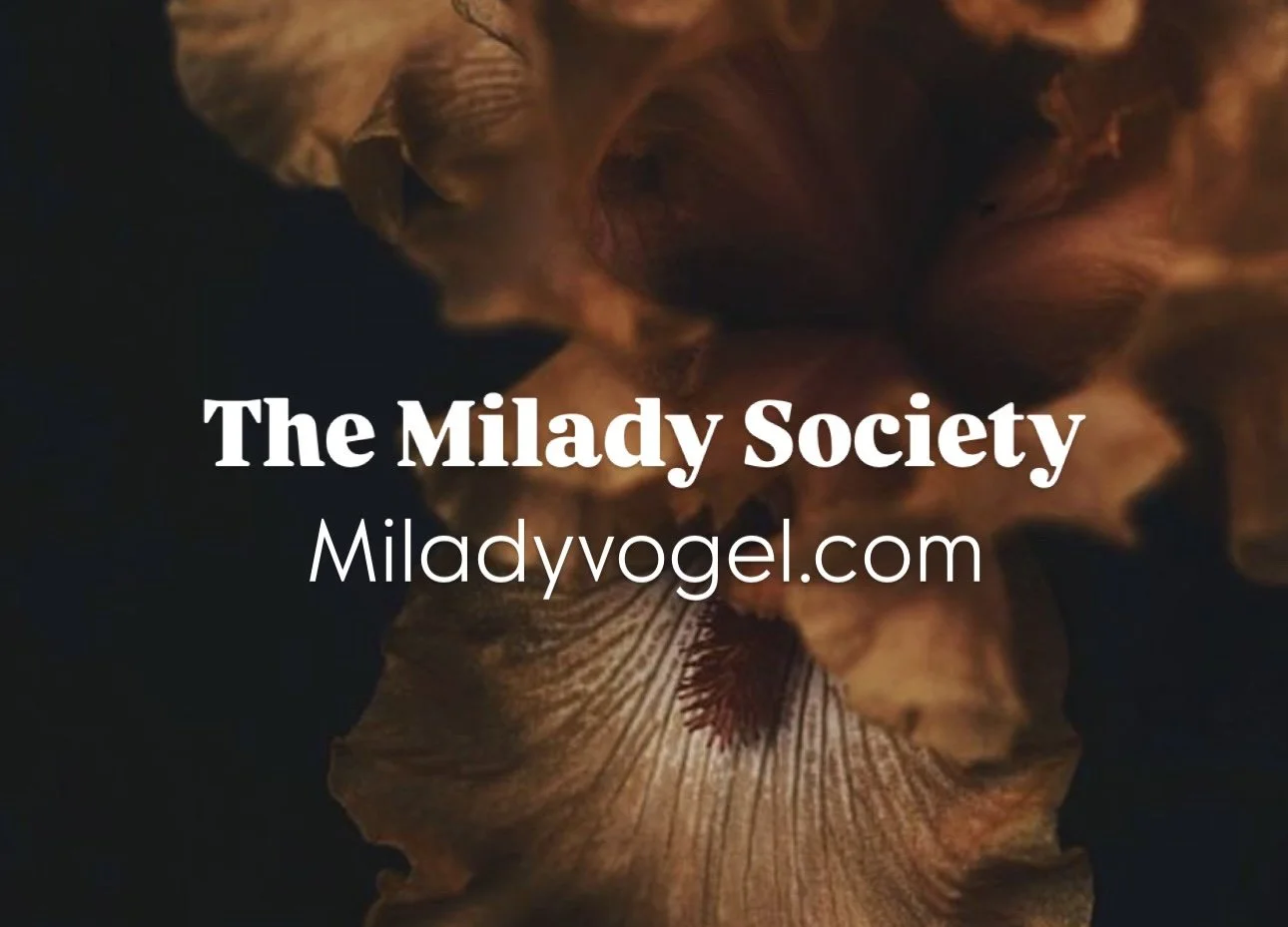 Milady’s Society -  HNWI welcome 
