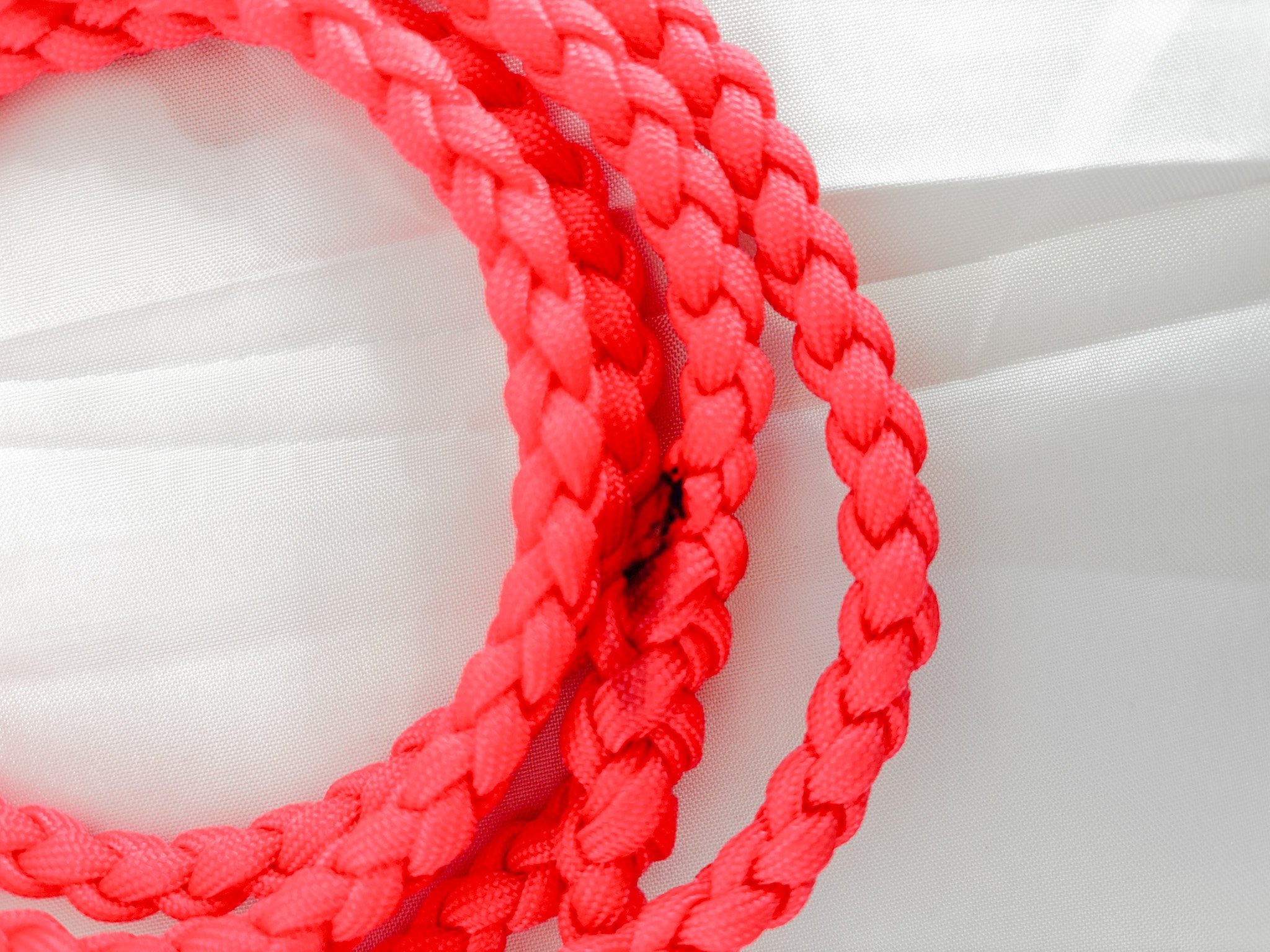 Leash 6.jpg