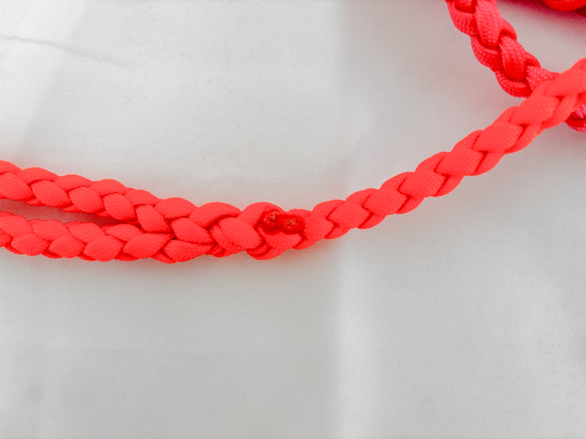 Leash 8.jpg