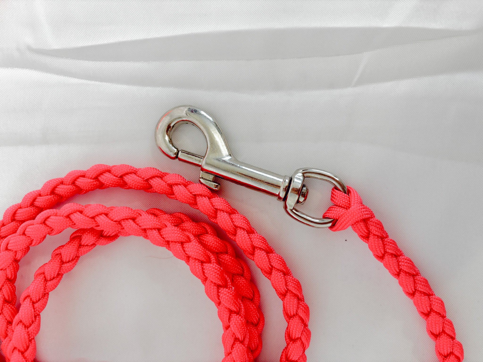 Leash 4.jpg