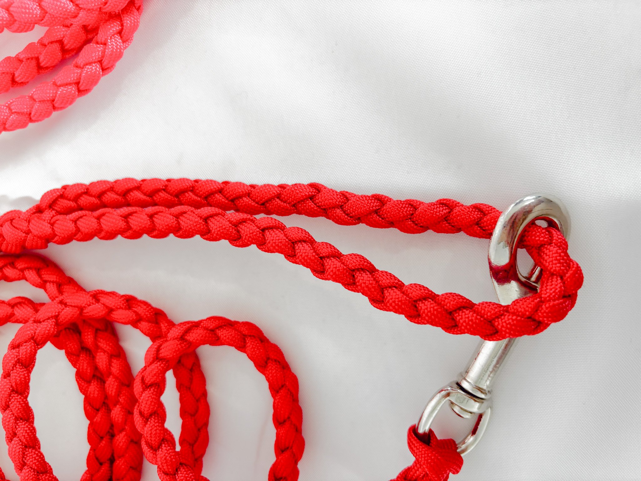 Leash 5.jpg