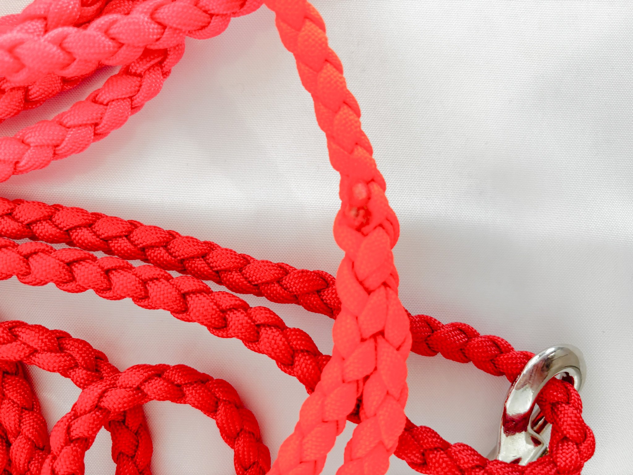 Leash 7.jpg