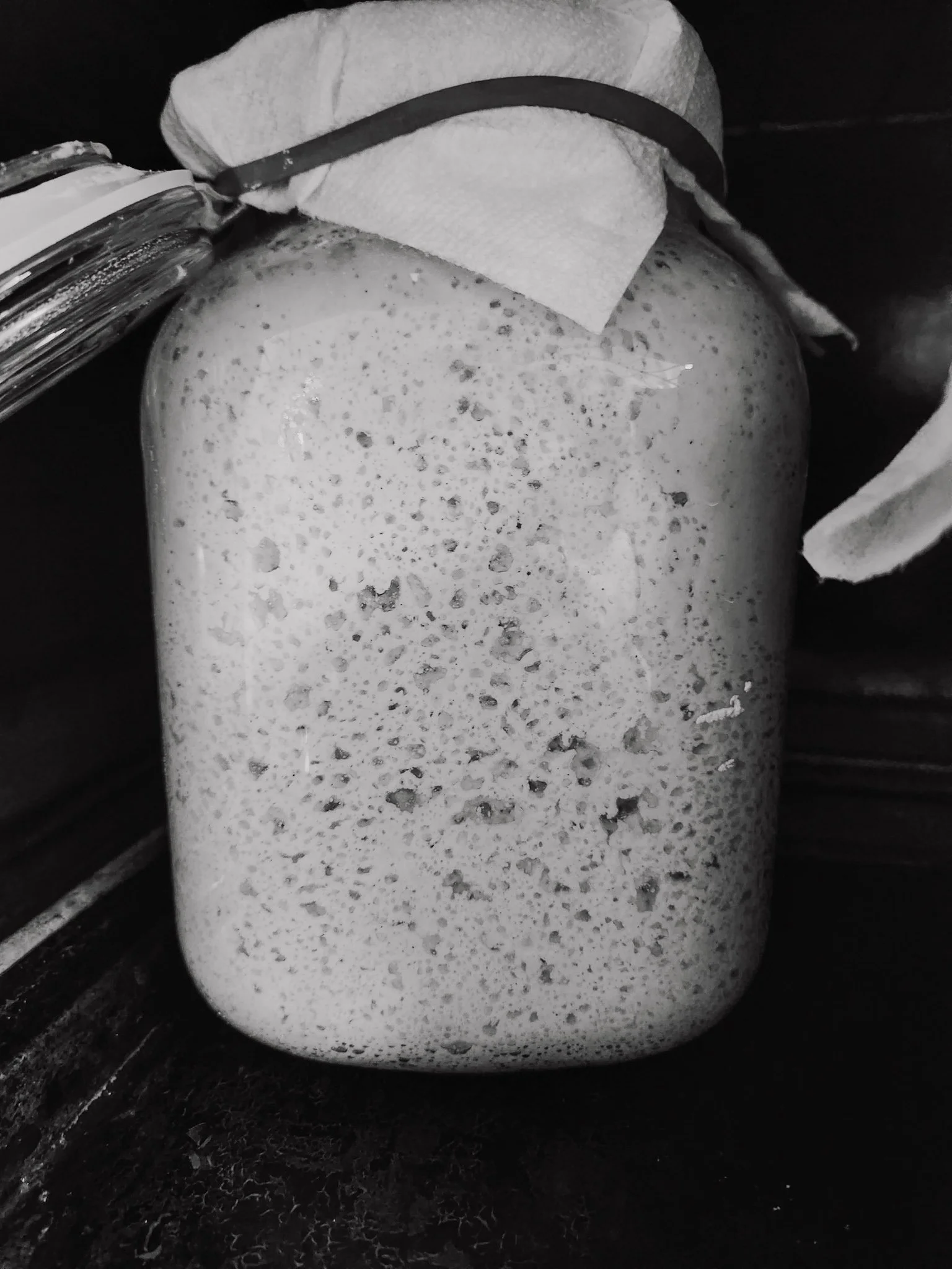 Close-up of a bubbling, active gluten-free sourdough starter in a glass jar for an Ember & Bloom private workshop in Gig Harbor.