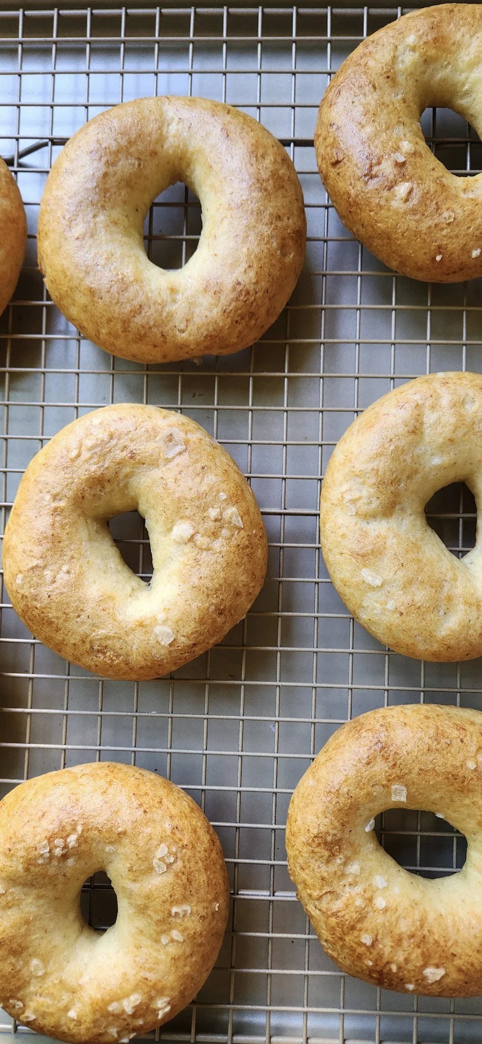 Ember & Bloom Bakery's freshly baked gluten-free vegan Plain Jane bagels on a cooling rack