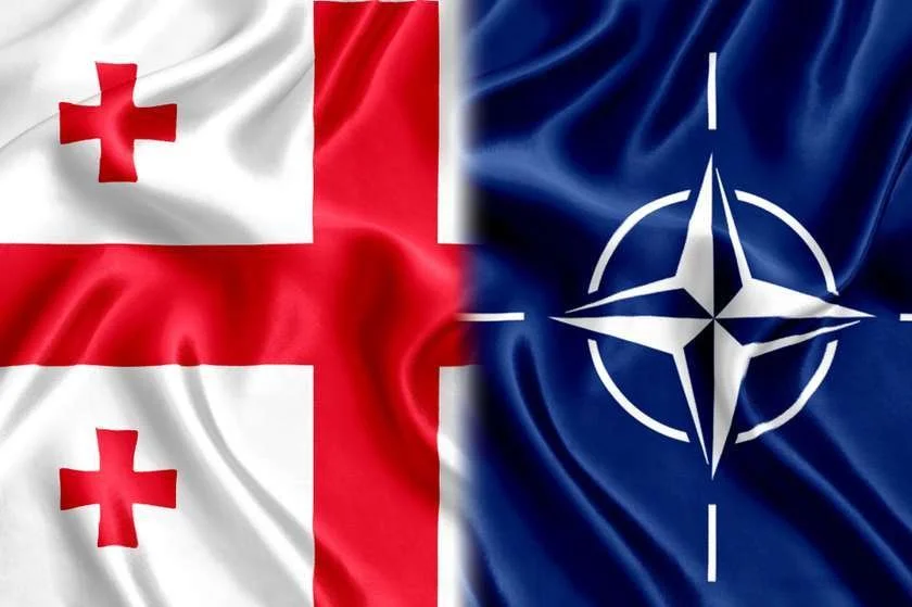 საქართველო და ნატო