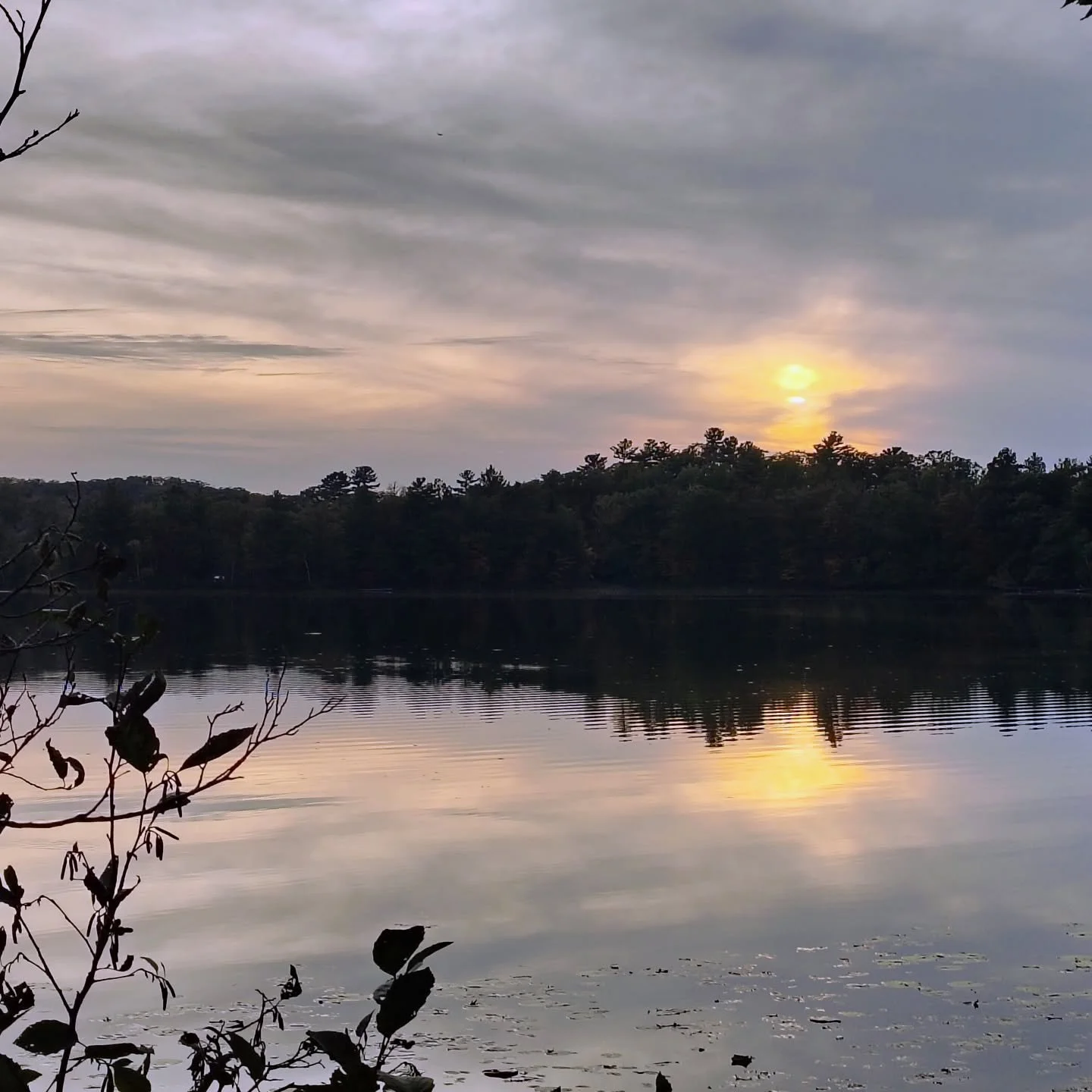 πβ¨ Fall is here, and with it comes cozy vibes (and a little extra dust + leaves sneaking in π). Let us handle the mess so you can enjoy the season stress-free! ππ‘
π
Book your fall clean today with Sparkling Haven Cabin Cleaning— spots fil