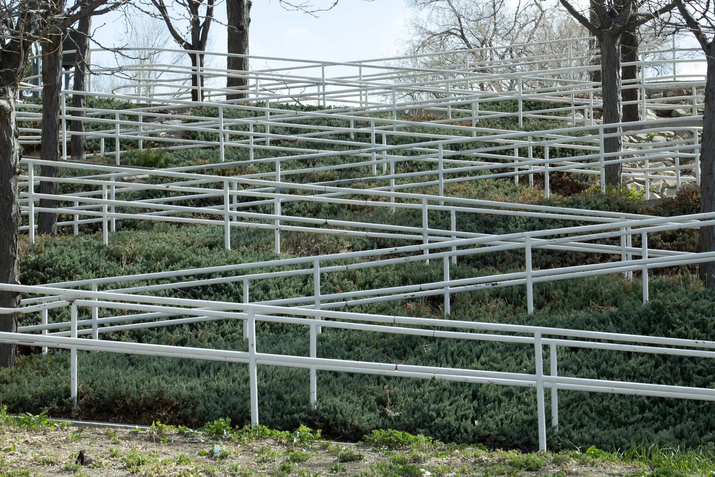 White pipe railing grid over terraced evergreen shrubs, bare trees beyond, Denver, CO
