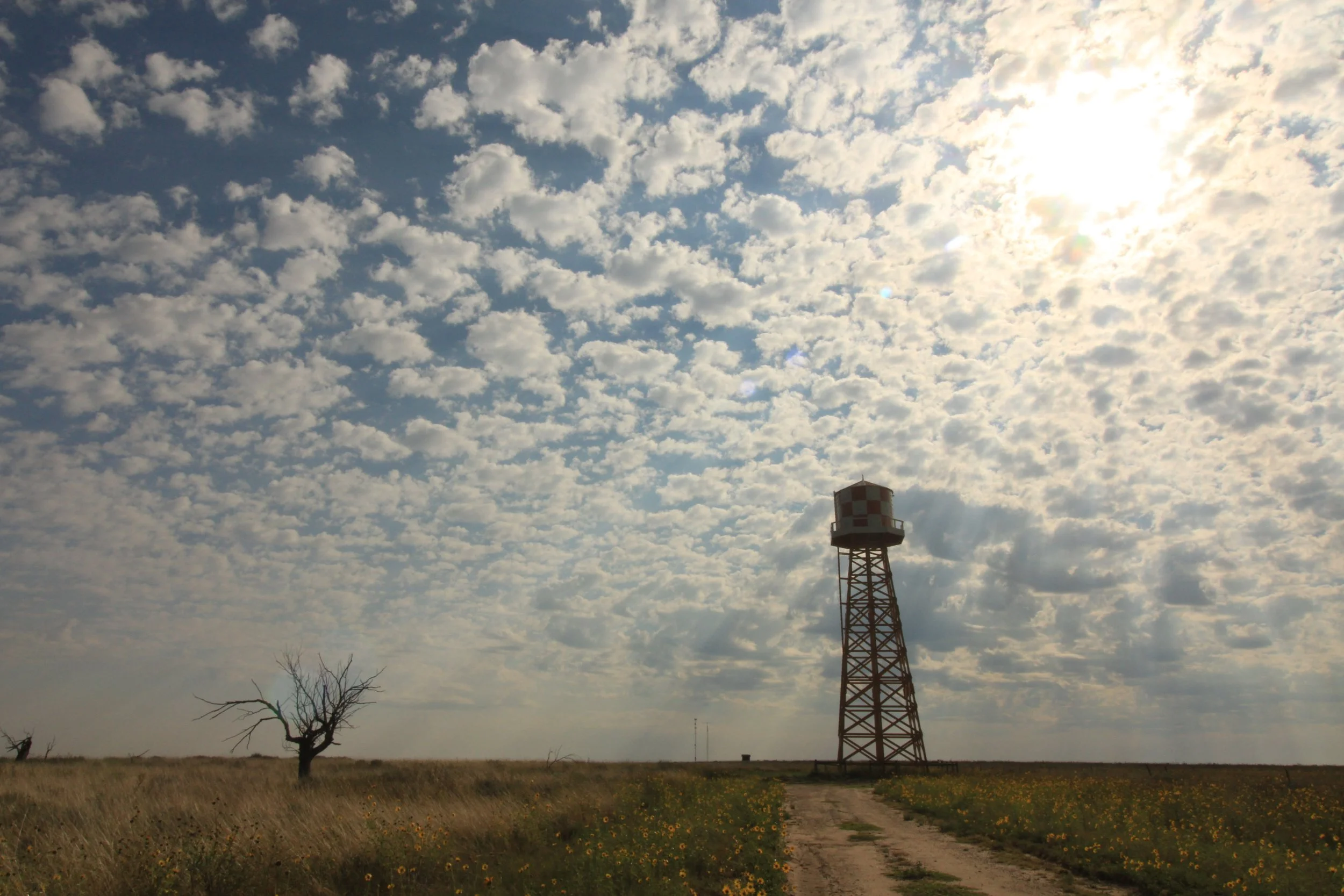Water tower and dead tree, Amache National Historic Site, Granada, CO