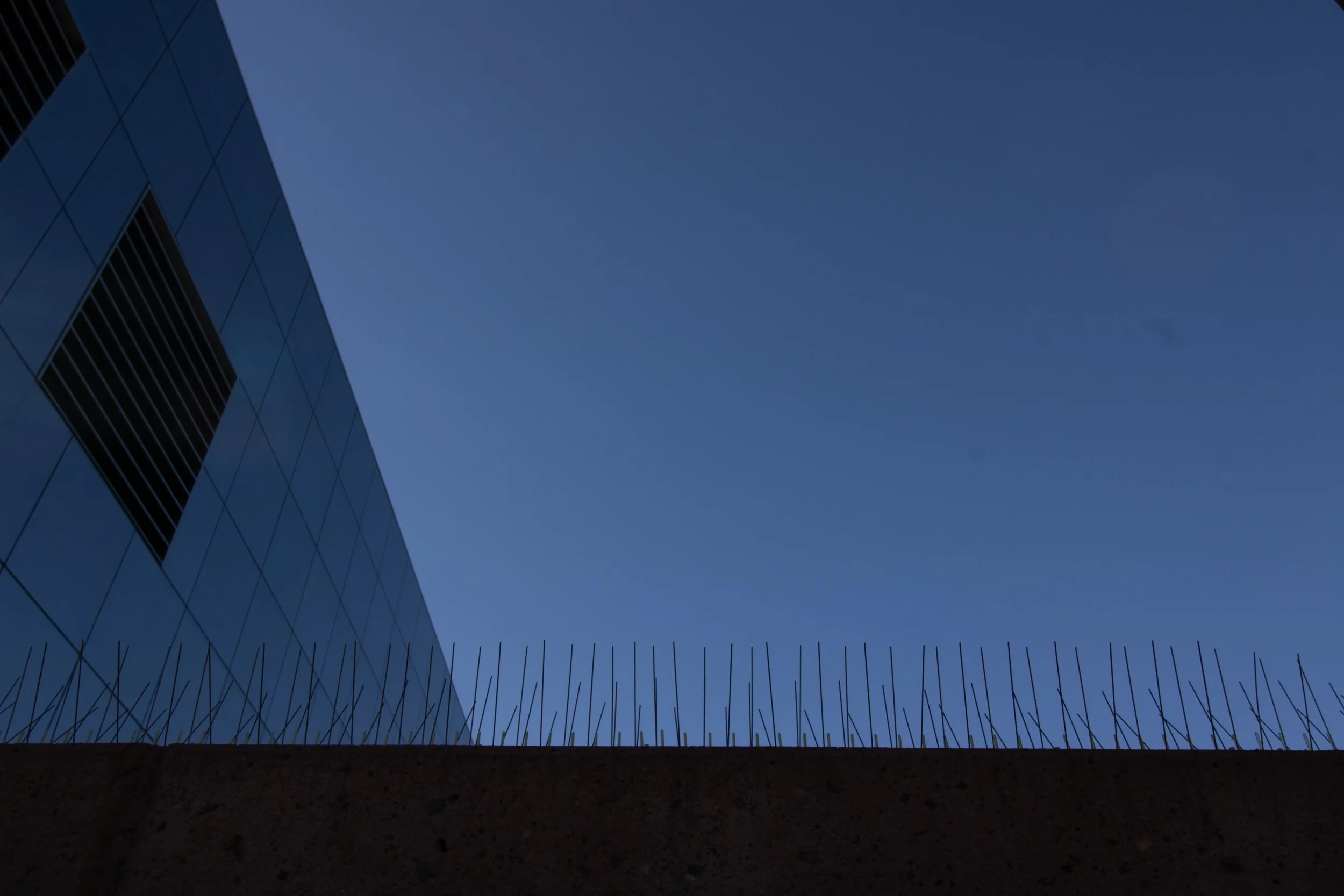 Anti-bird spikes along concrete wall, glass office tower behind, Grand Junction, CO