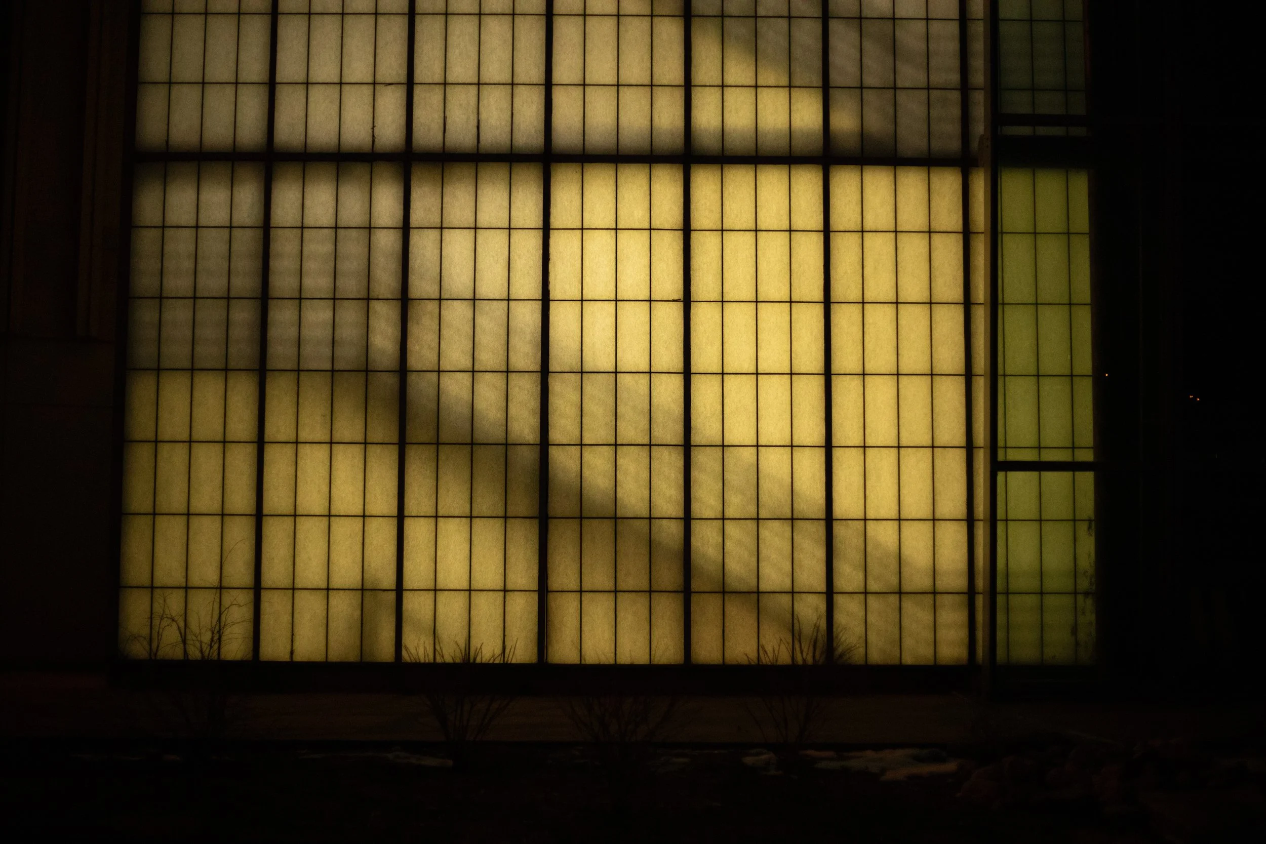 Window, Denver Museum of Nature and Science, Denver, CO