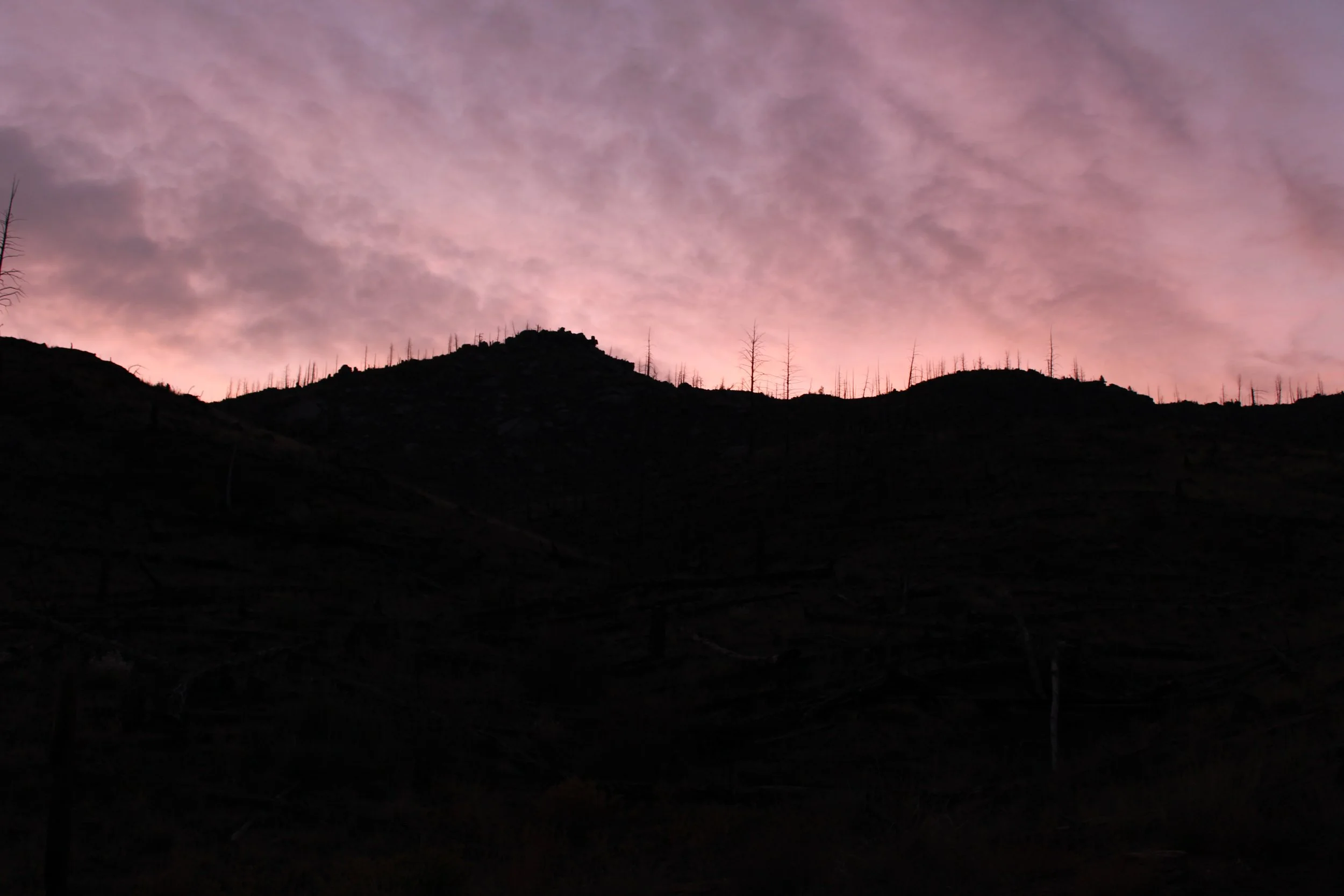 Burned ridge silhouetted against a pink and purple mackerel sky before sunrise, Cheesman Mountain, Deckers, CO