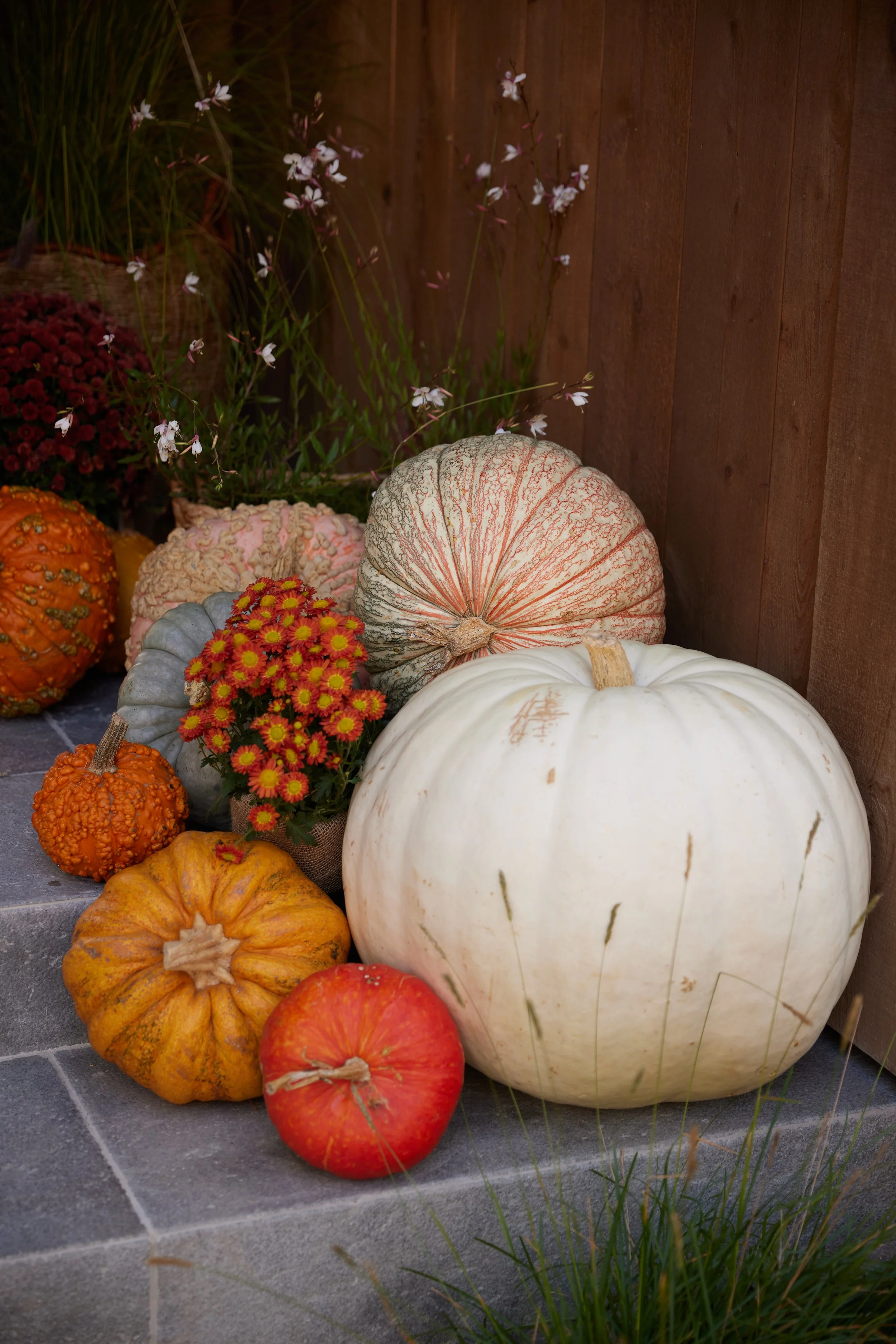 Just a touch of Pumpkin spice.