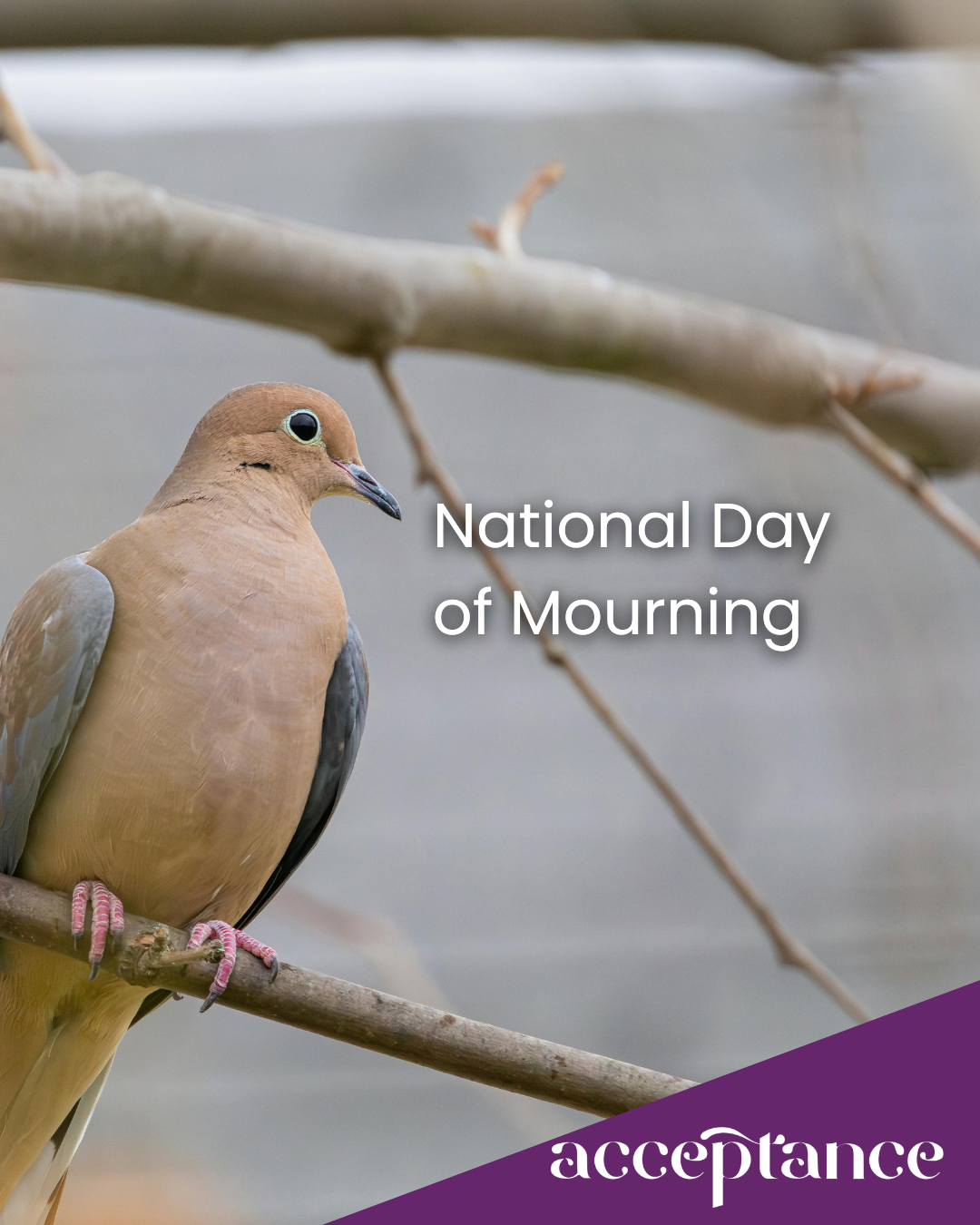 Grief Isn’t Always Obvious: When Life Looks Fine but Feels Heavy