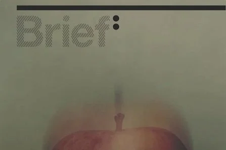 Brief-cover.jpg