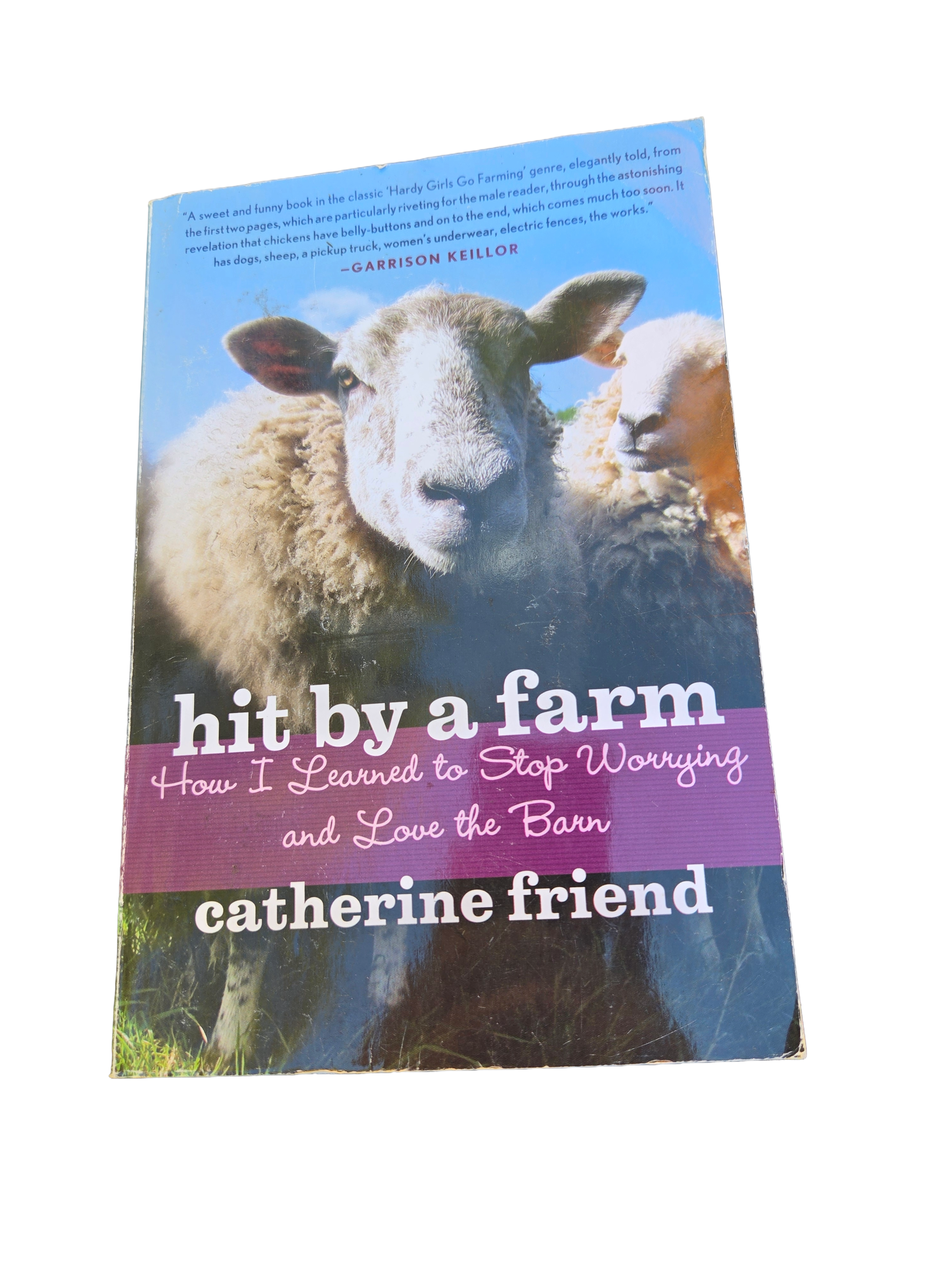 Hit by a Farm by Catherine Friend