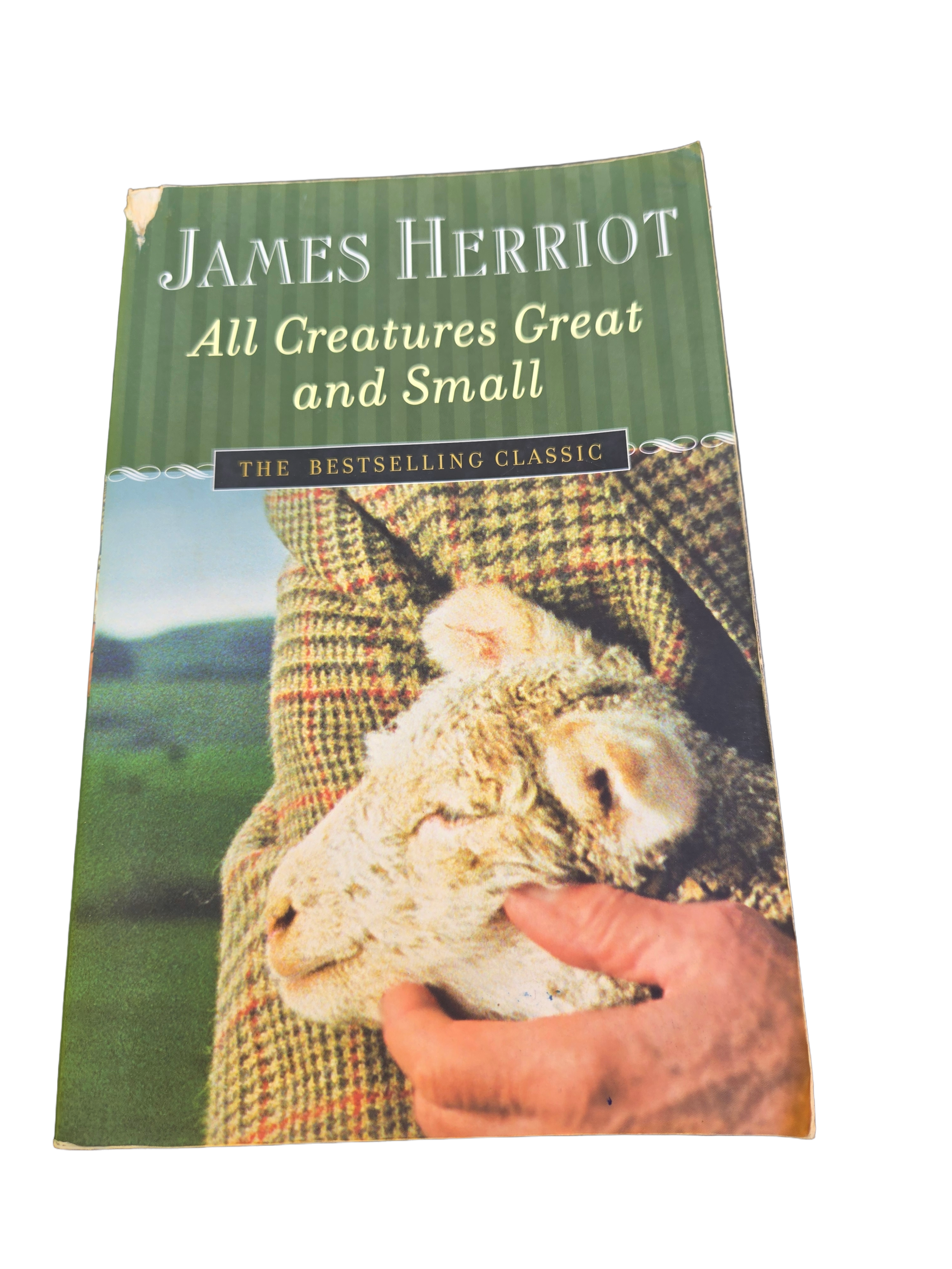 All Creatures Great and Small