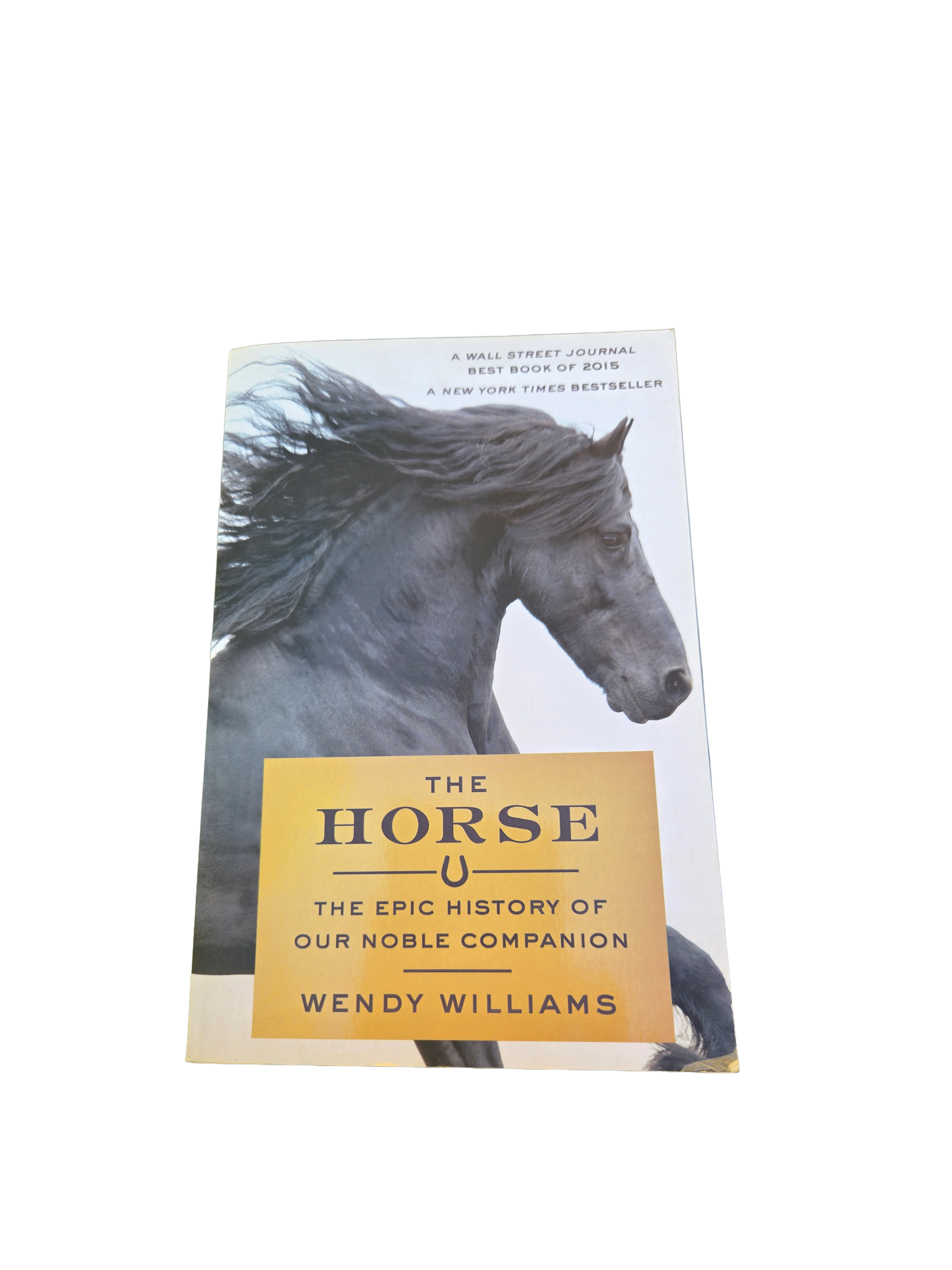 The Horse: The Epic History of our Noble Companion by Wendy Williams