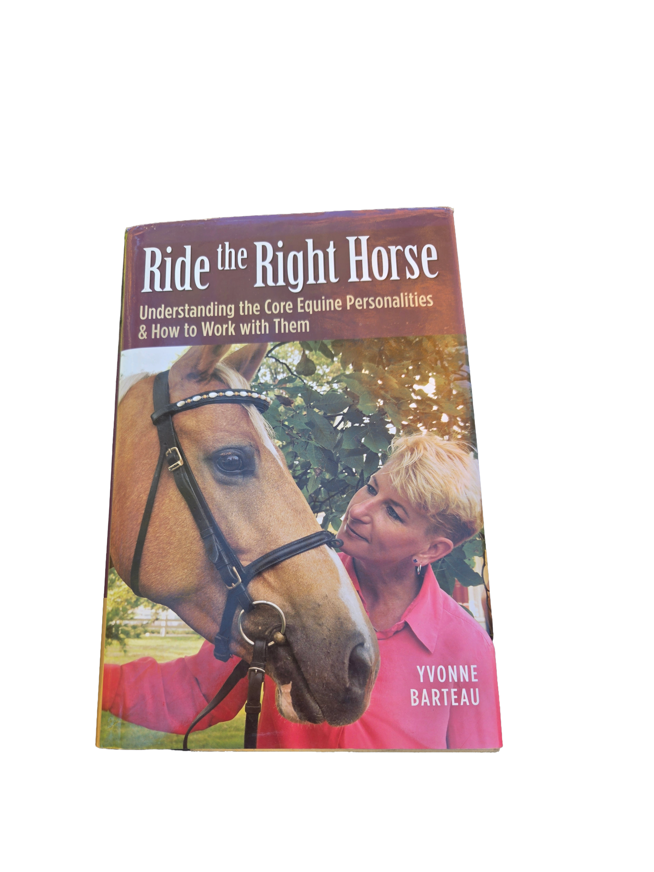 Ride the Right Horse by Yvonne Barteau