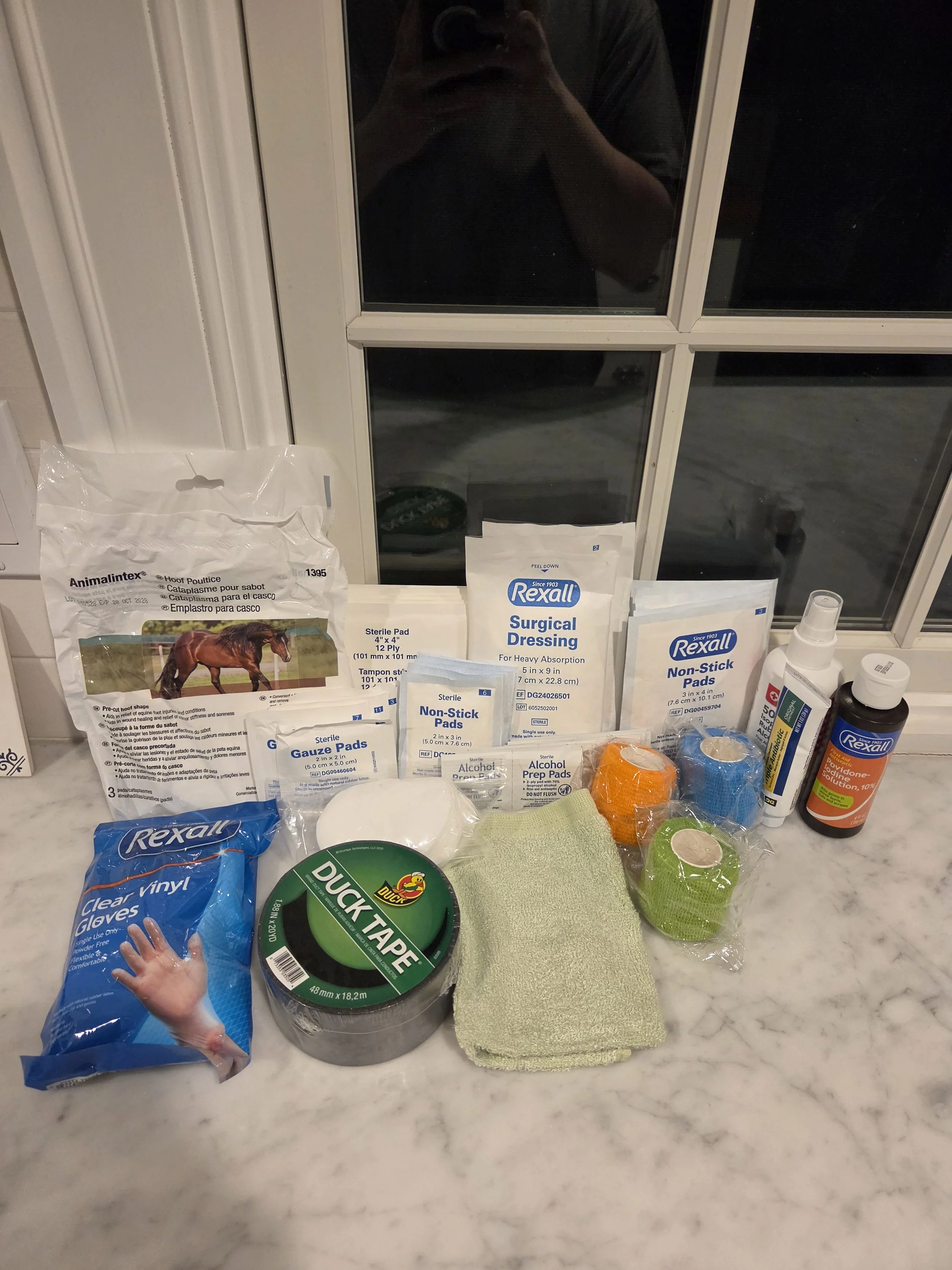 Equine First Aid Kit