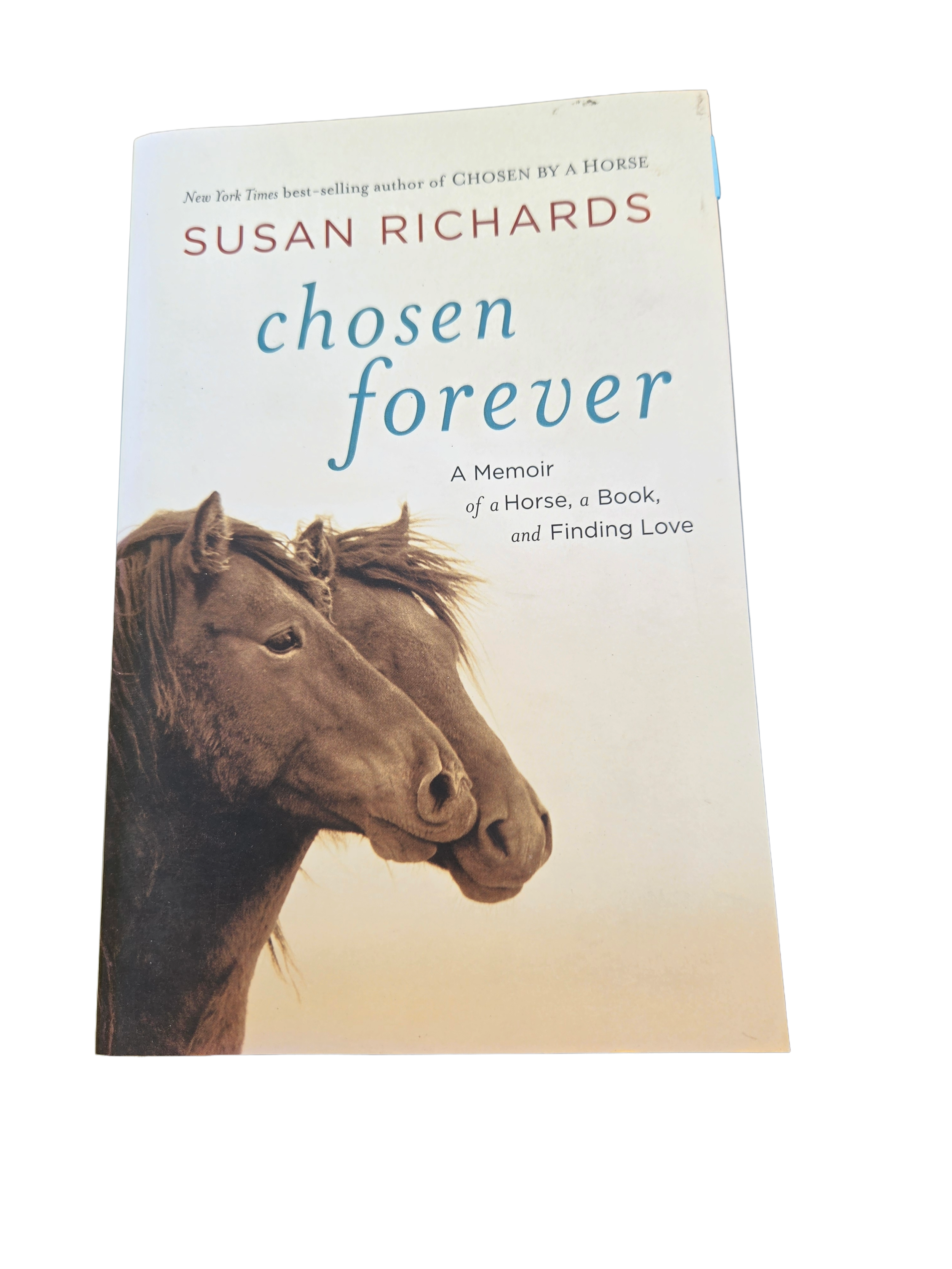 Chosen by a Horse by Susan Richards
