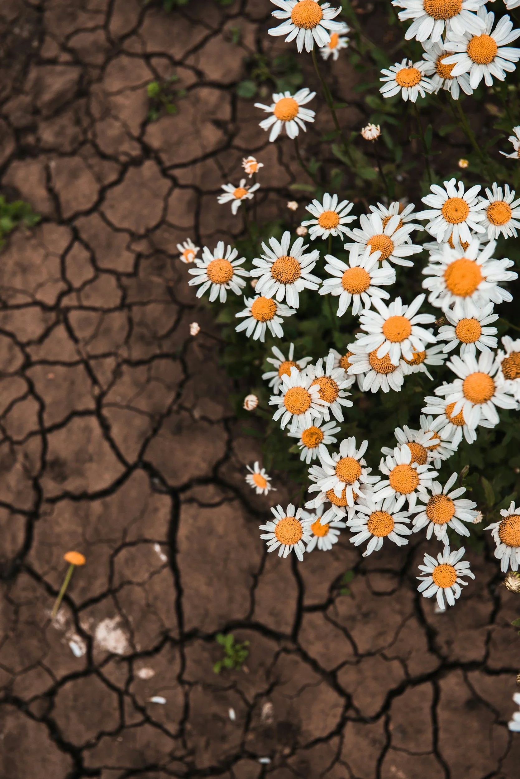 Do you need breakthrough?